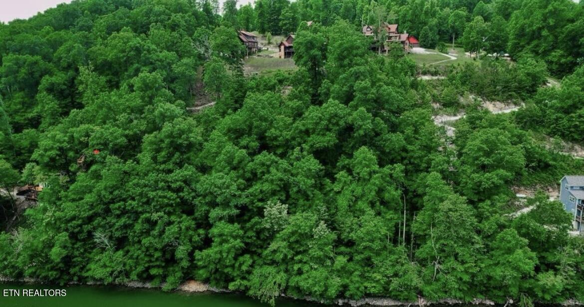 Hiawatha Lane Caryville TN 37714