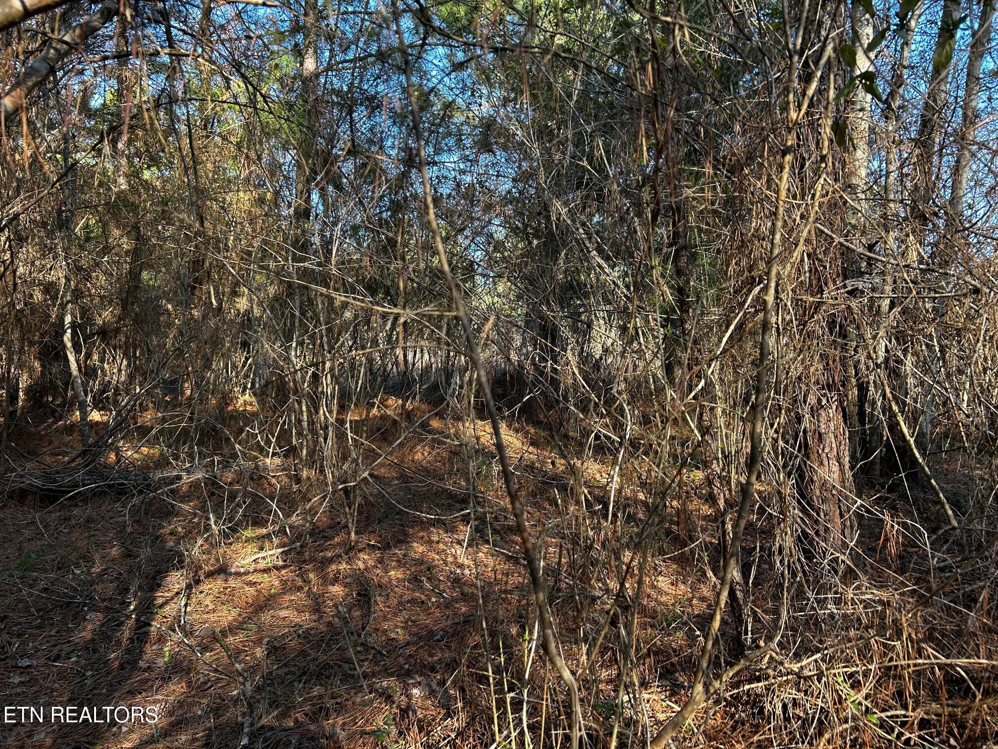 2E-7 Charles Road Decatur TN 37322