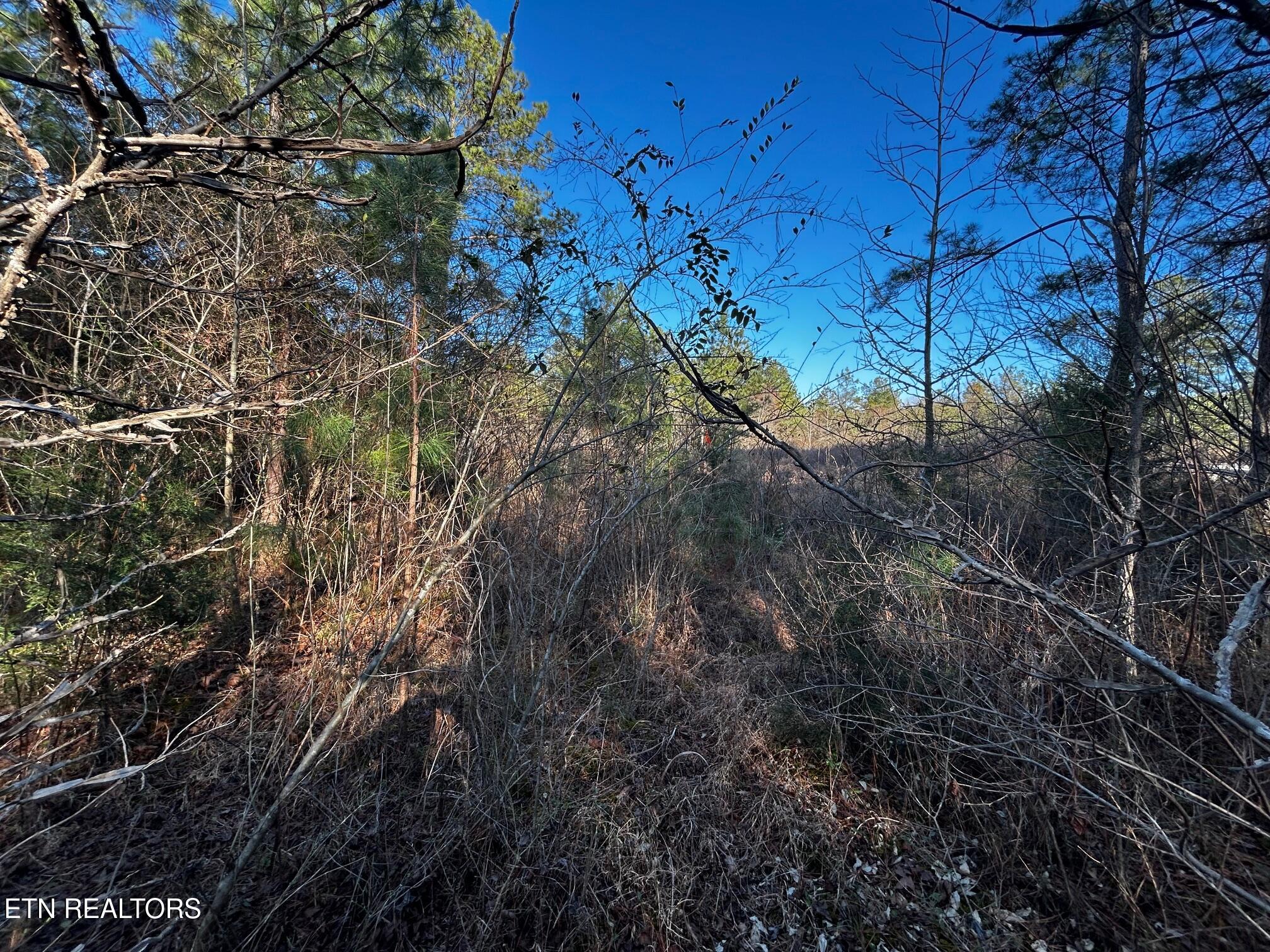 2E-7 Charles Road Decatur TN 37322