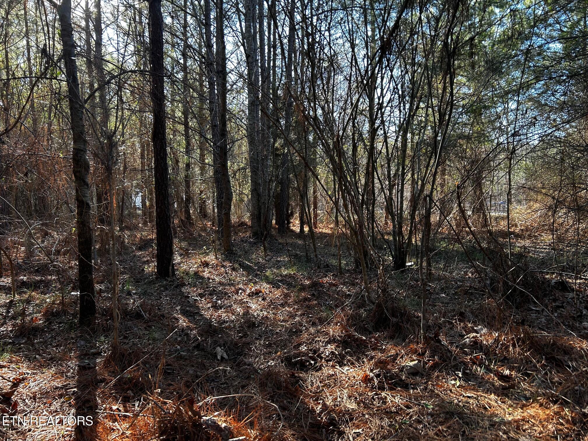 2E-7 Charles Road Decatur TN 37322