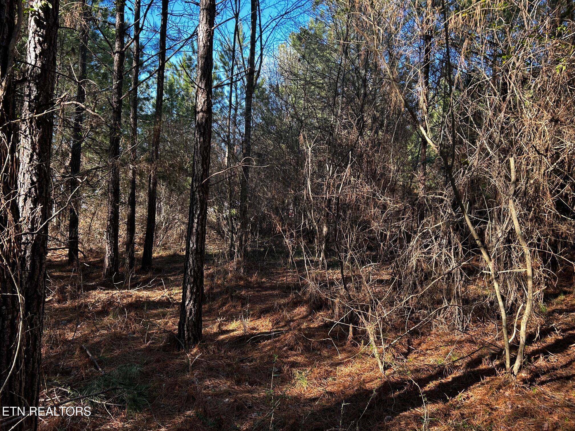 2E-7 Charles Road Decatur TN 37322