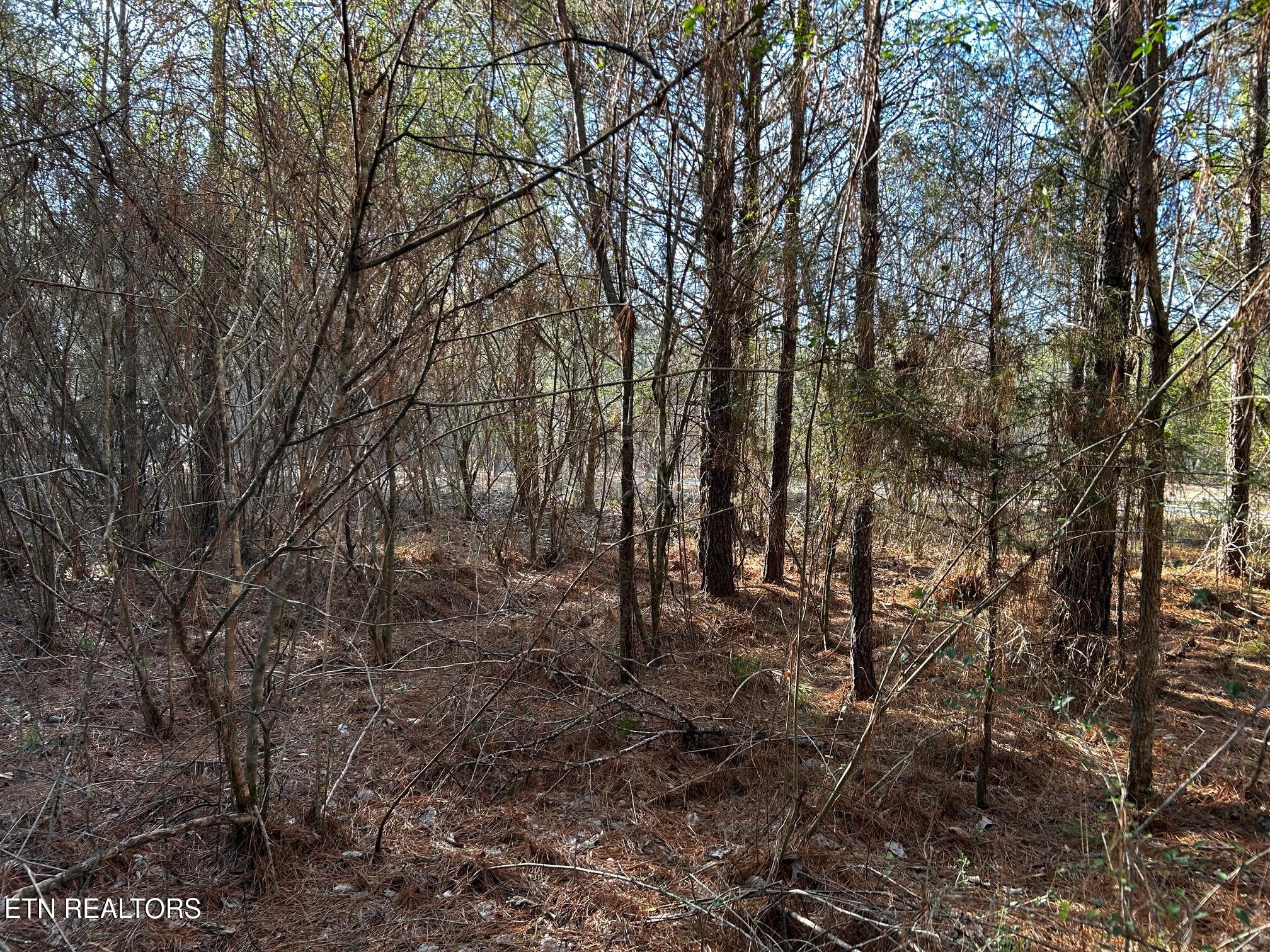 2E-7 Charles Road Decatur TN 37322