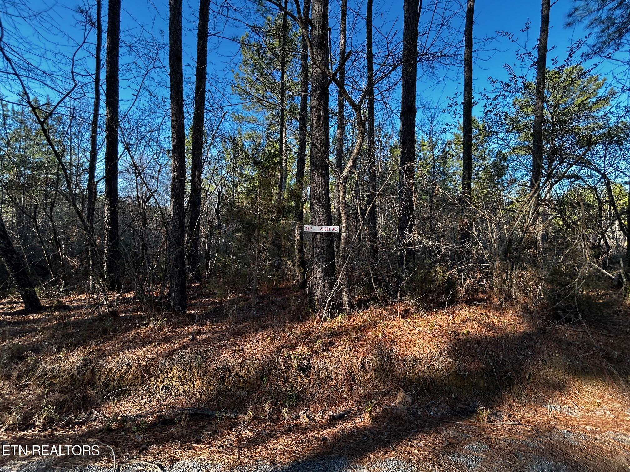 2E-7 Charles Road Decatur TN 37322