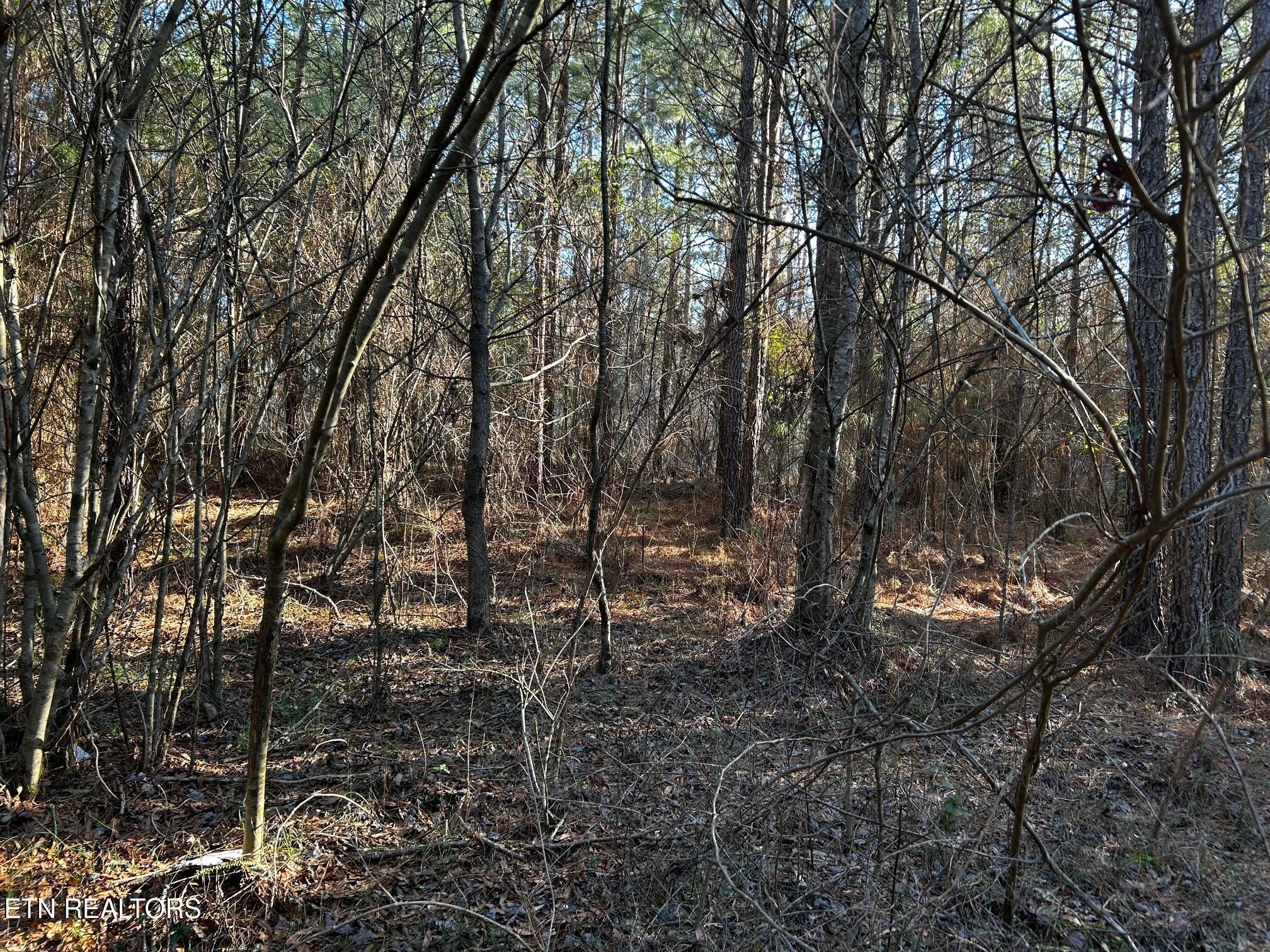 2E-7 Charles Road Decatur TN 37322