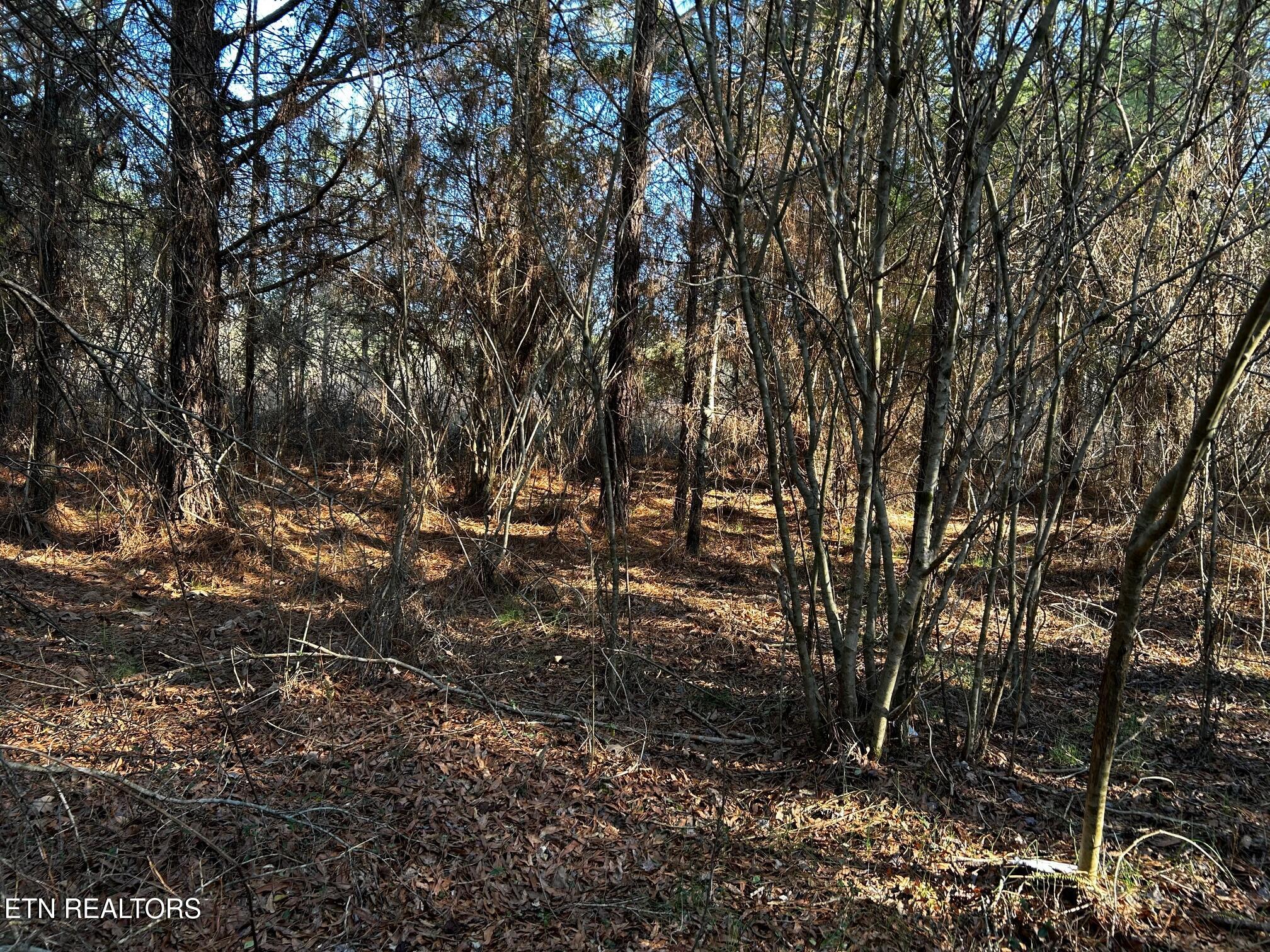 2E-7 Charles Road Decatur TN 37322