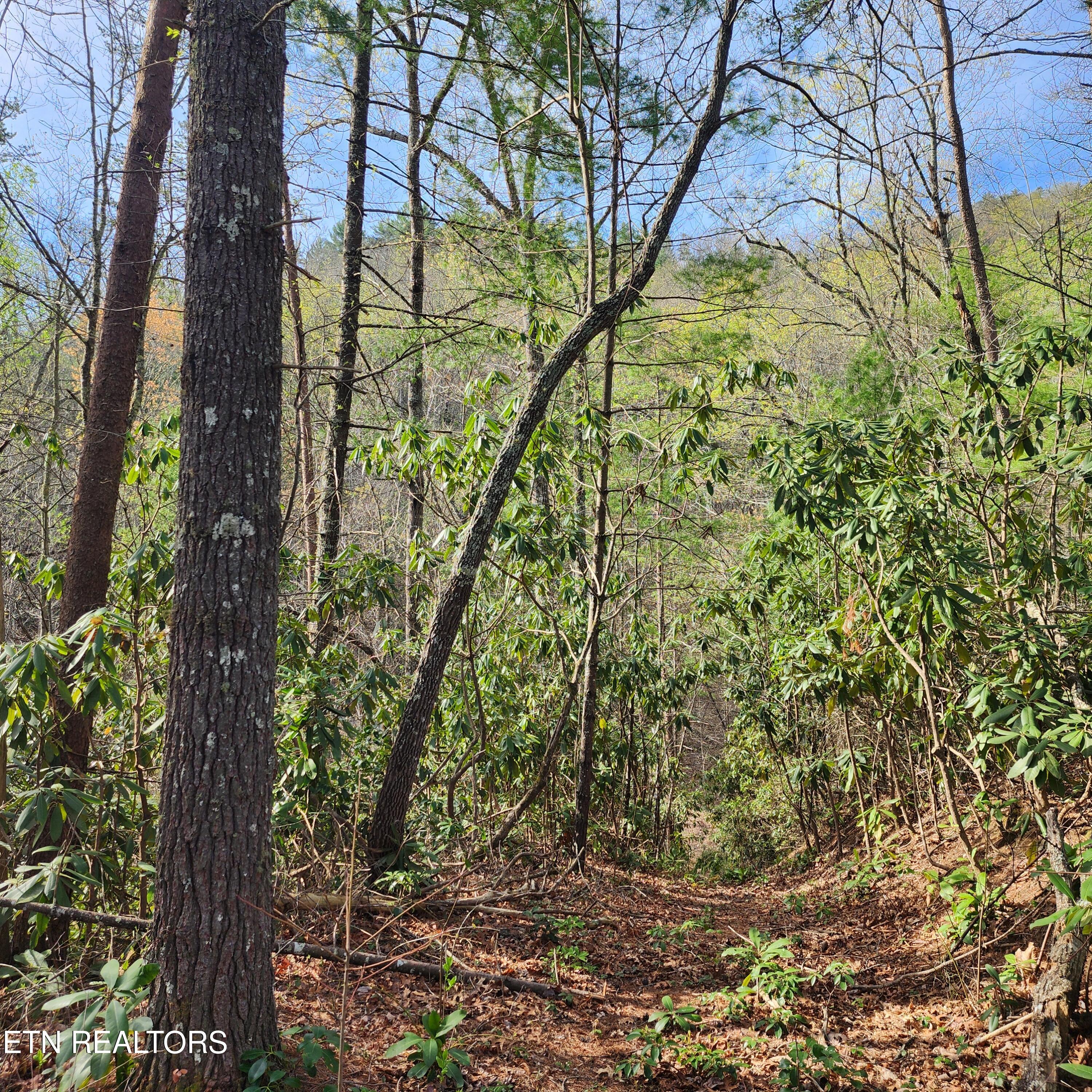 116 Stonegate Way Townsend TN 37882