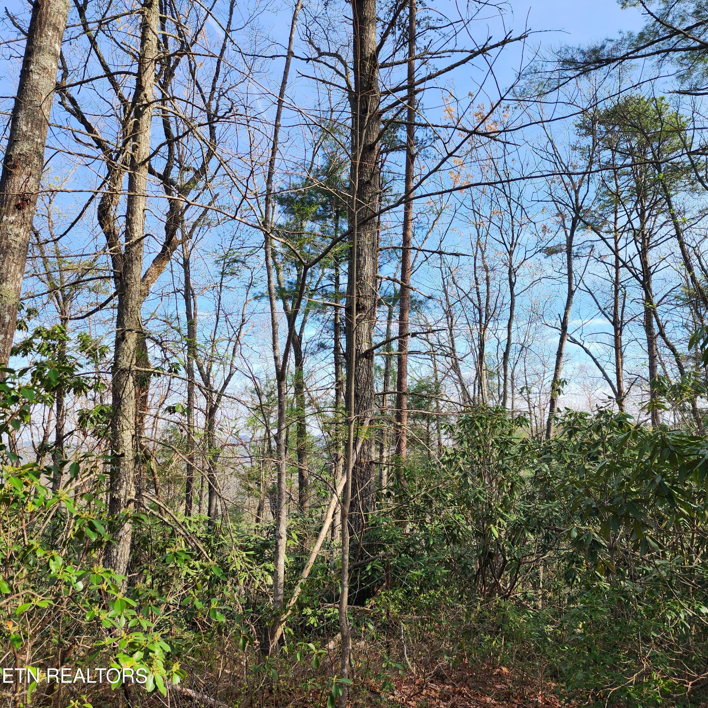 116 Stonegate Way Townsend TN 37882