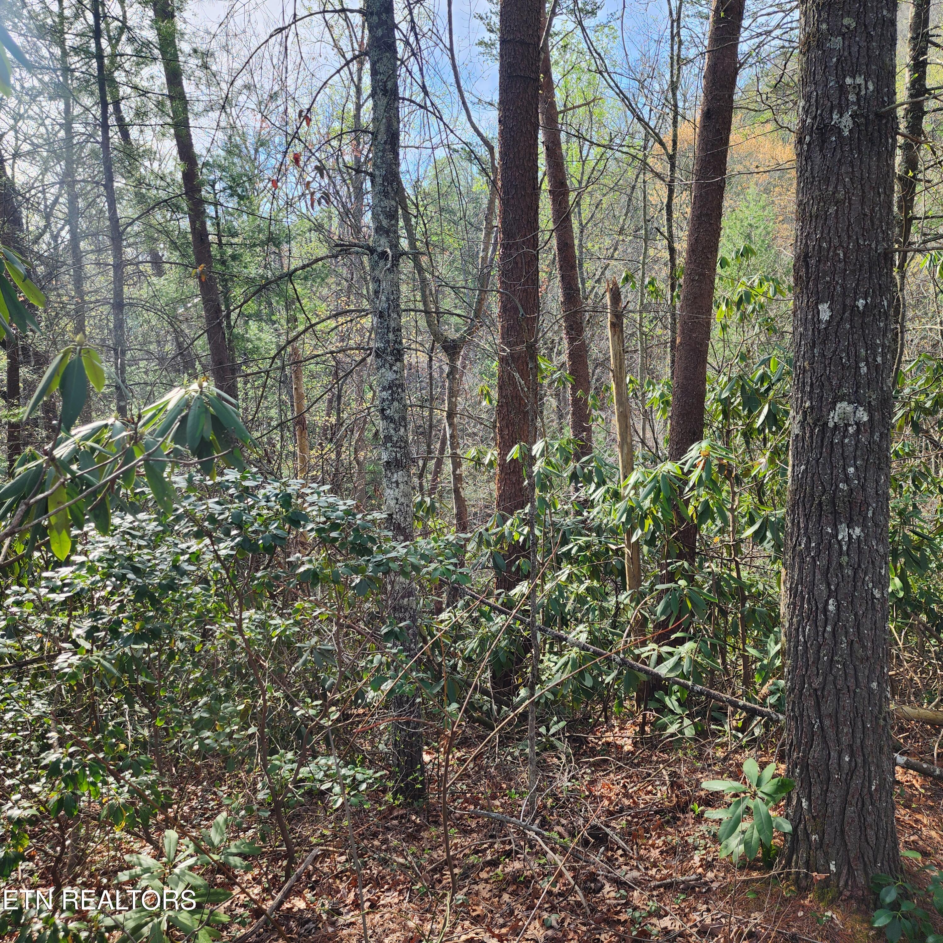 116 Stonegate Way Townsend TN 37882
