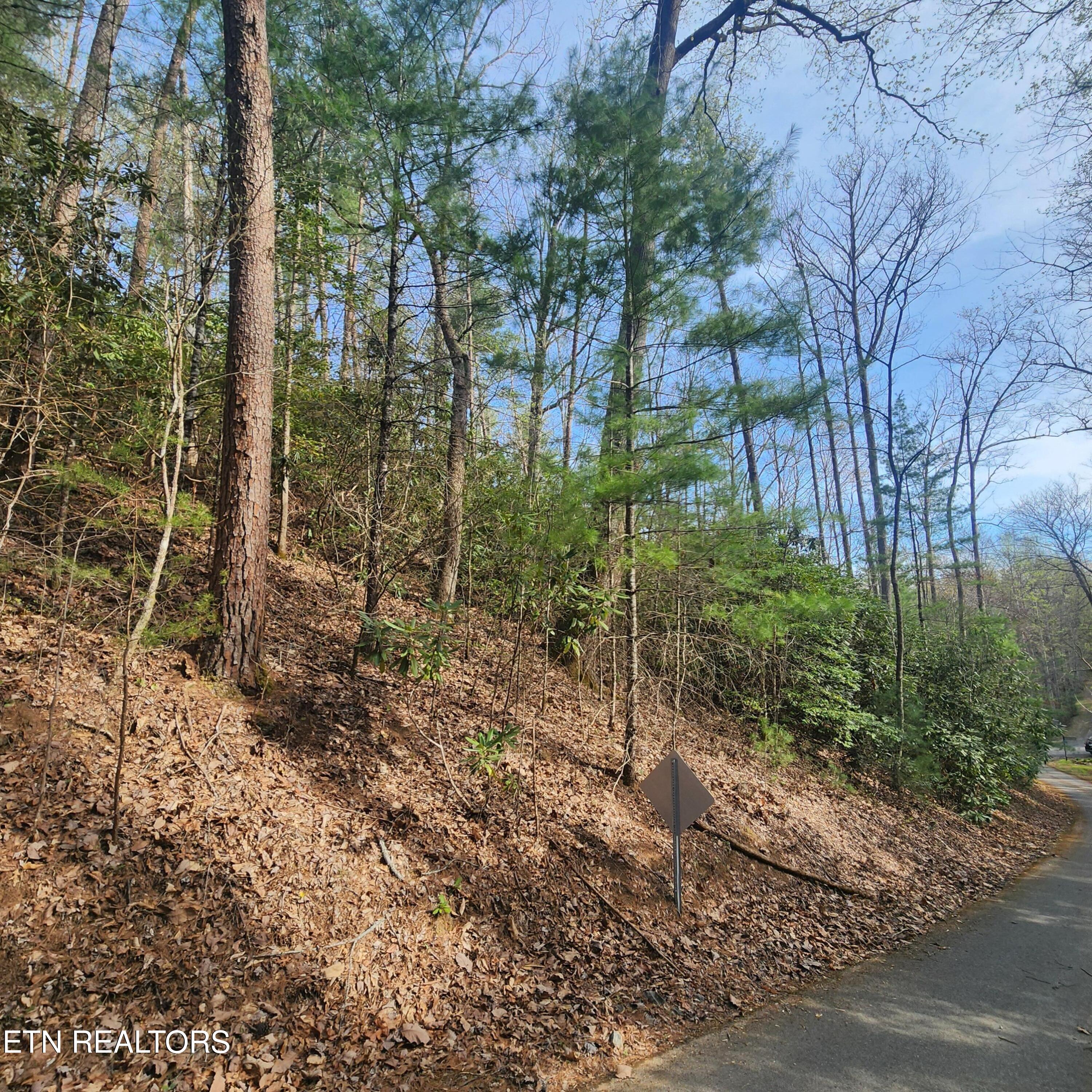 116 Stonegate Way Townsend TN 37882