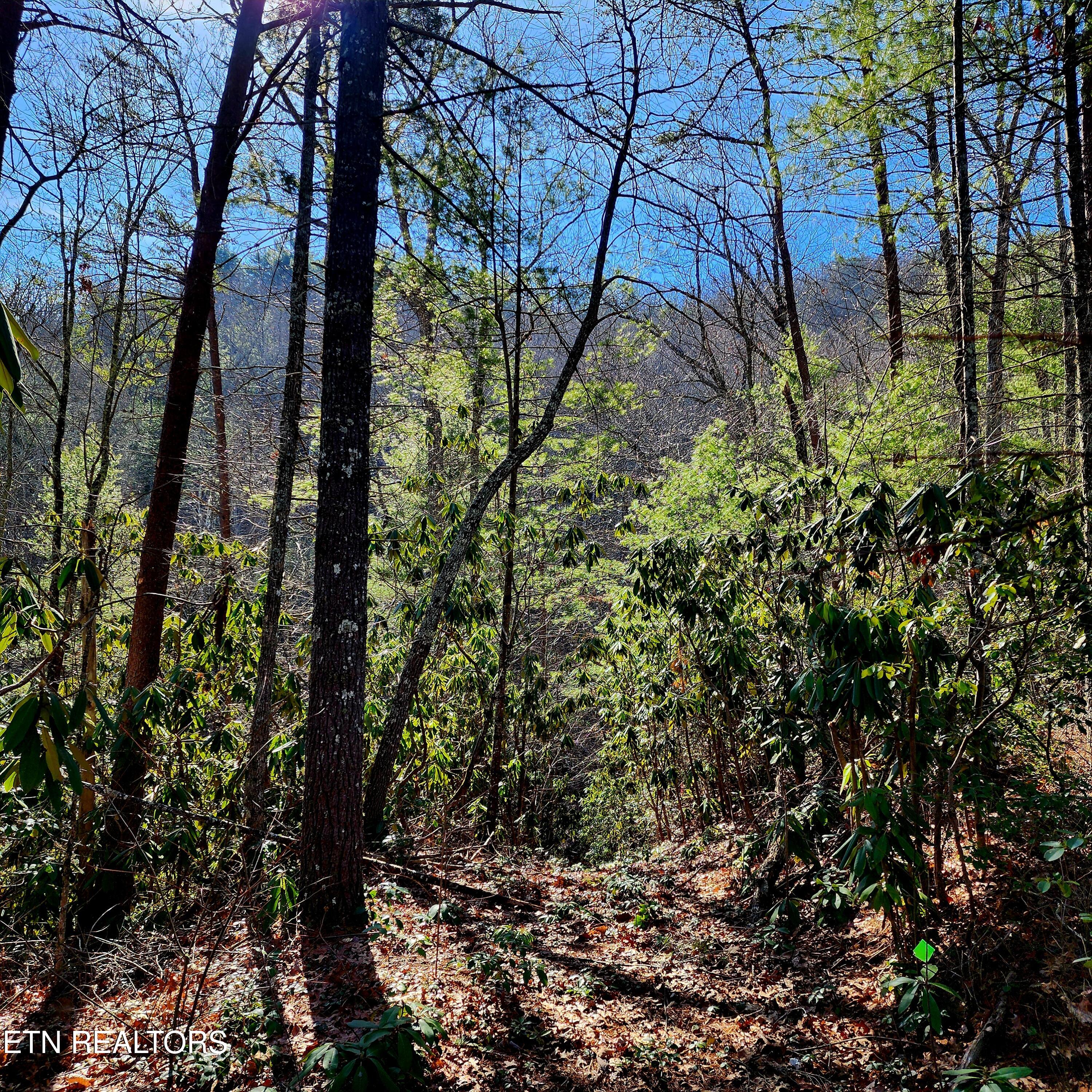 116 Stonegate Way Townsend TN 37882