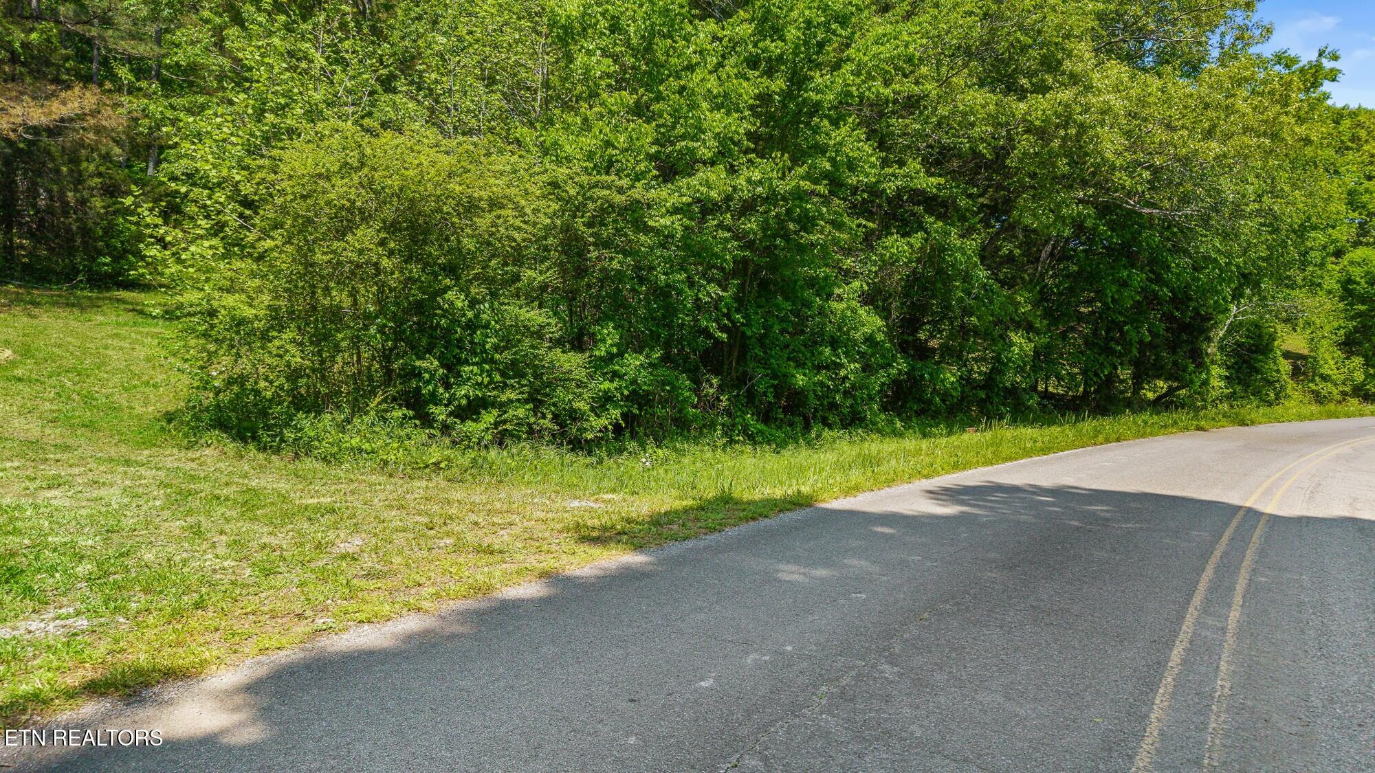 00 County Road 62 Riceville TN 37370