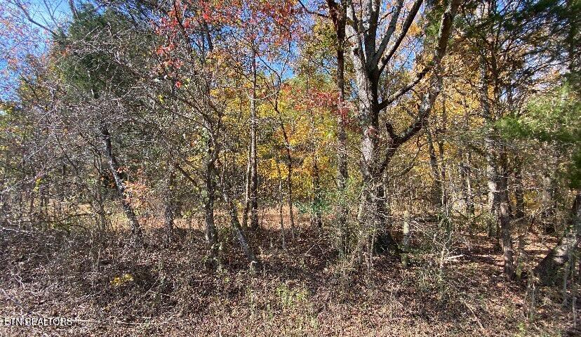 00 County Road 62 Riceville TN 37370
