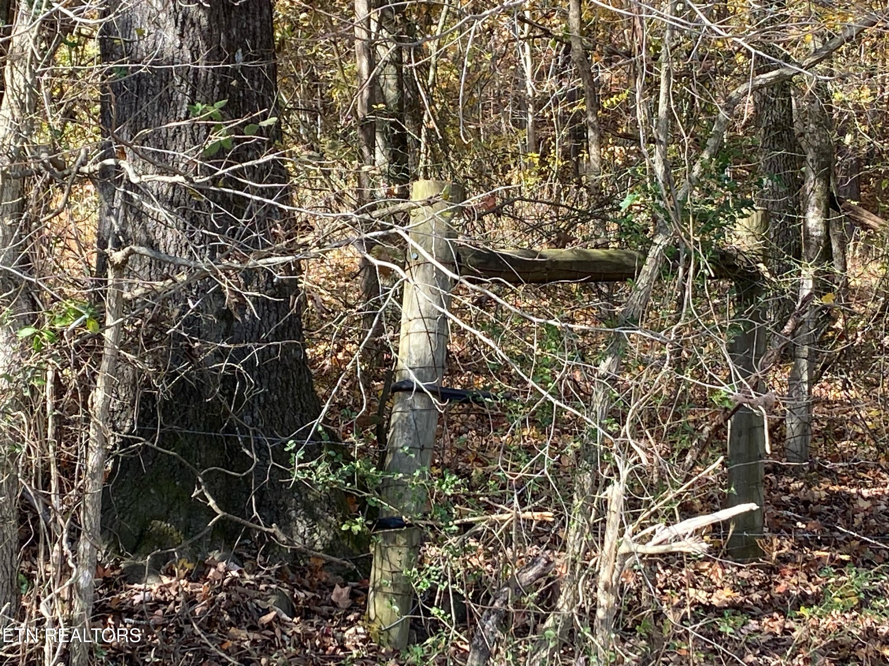 00 County Road 62 Riceville TN 37370