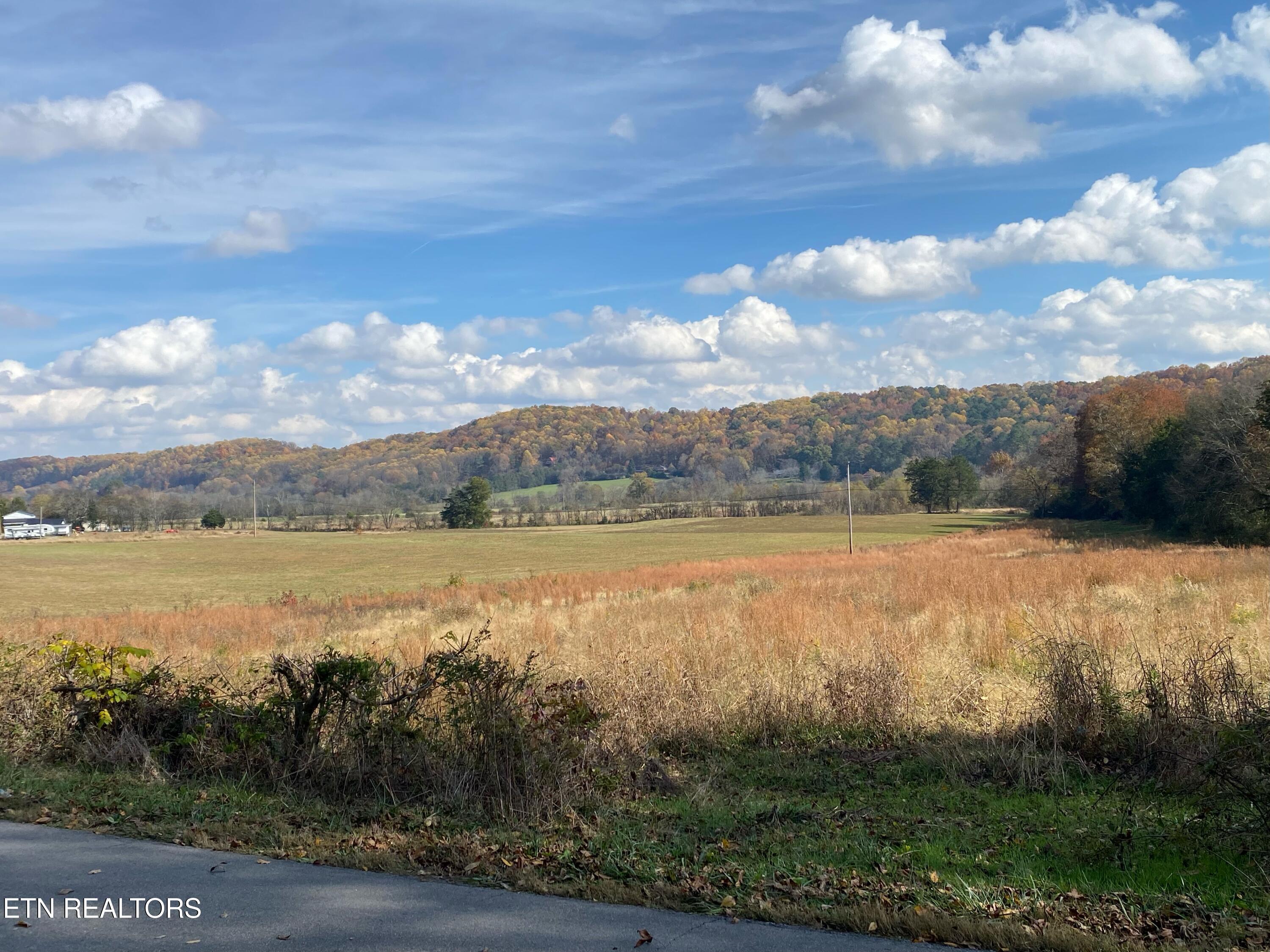 00 County Road 62 Riceville TN 37370