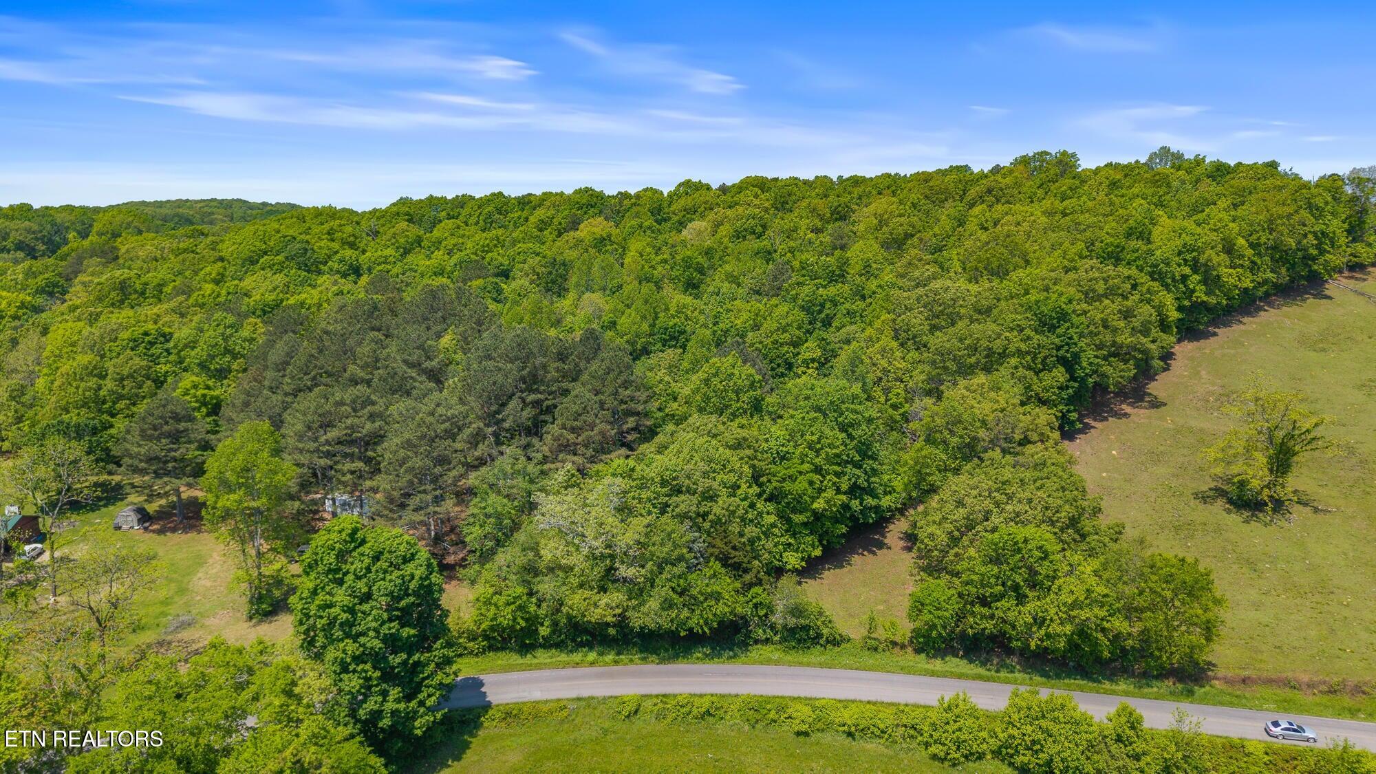 00 County Road 62 Riceville TN 37370