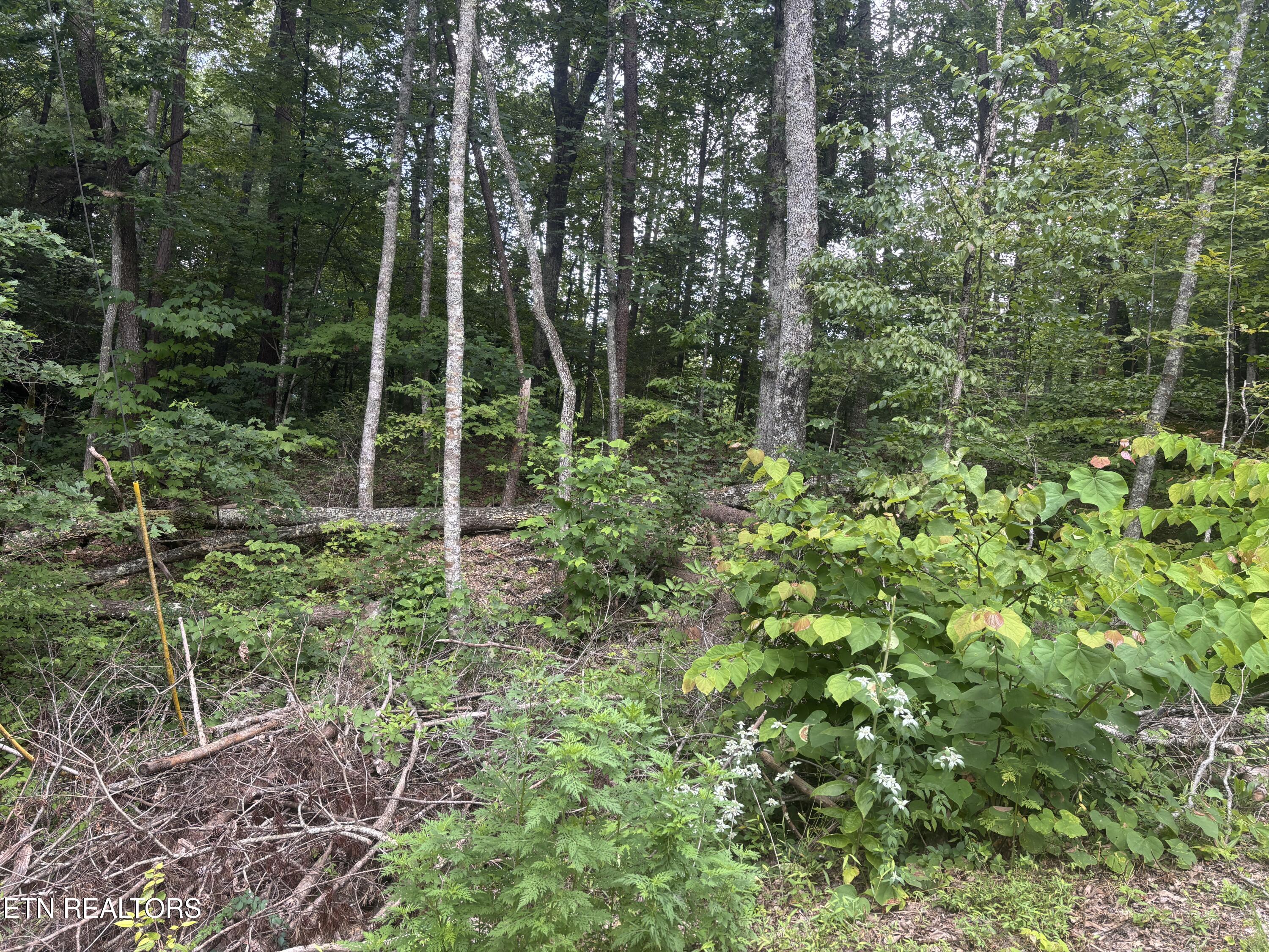 1146 Pine Mountain Road Pigeon Forge TN 37862