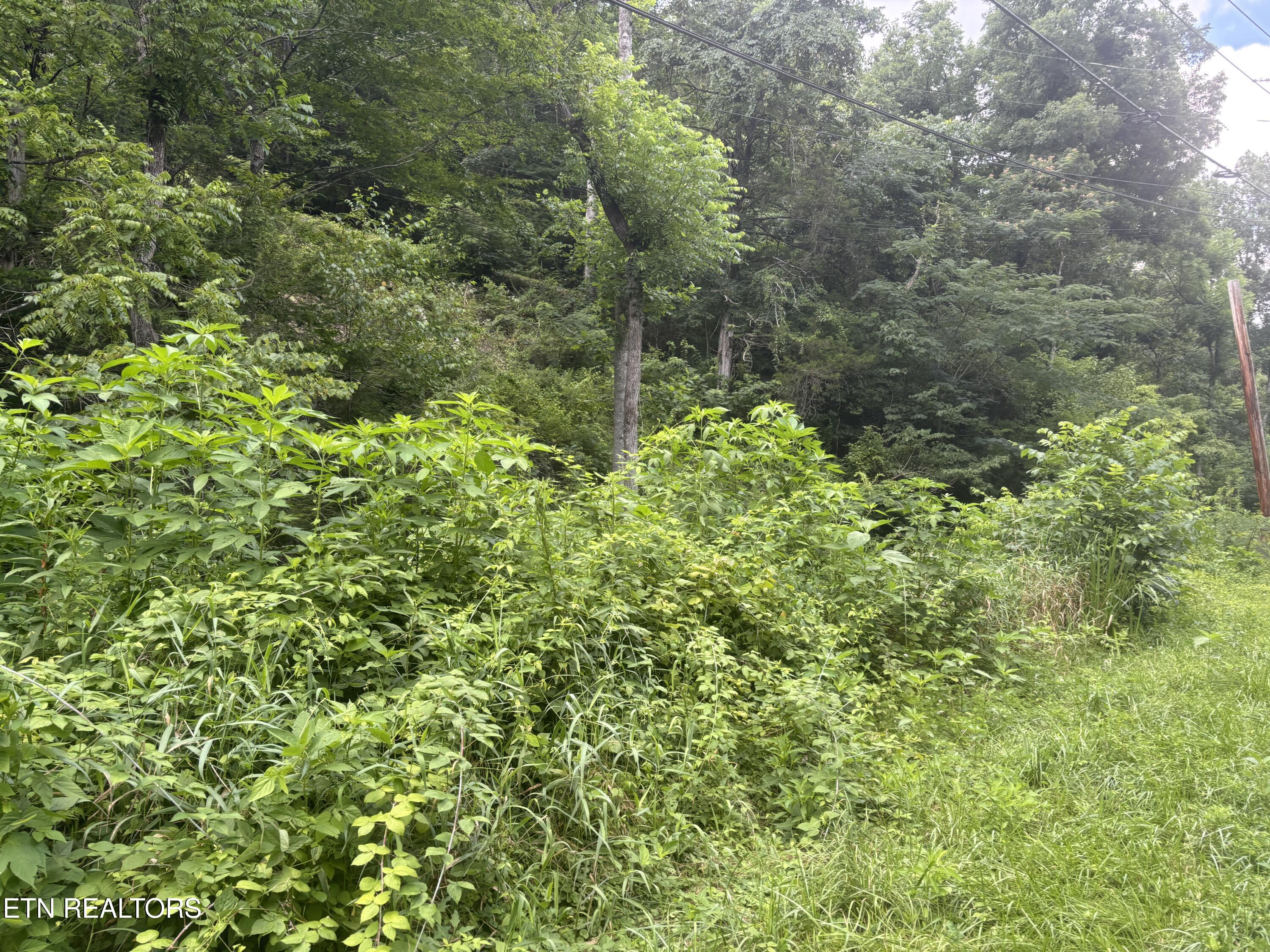 1146 Pine Mountain Road Pigeon Forge TN 37862