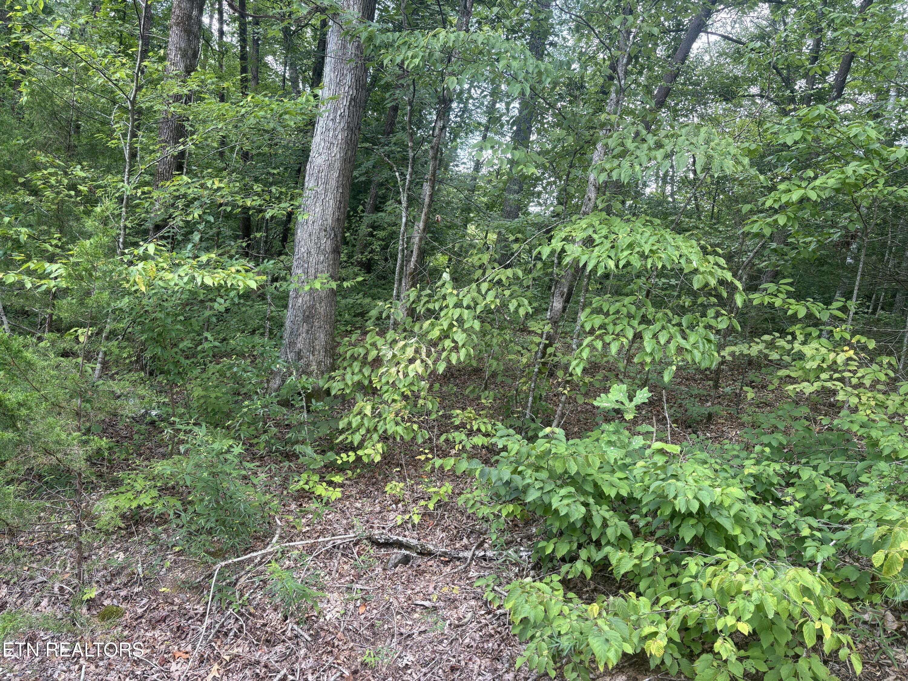 1146 Pine Mountain Road Pigeon Forge TN 37862