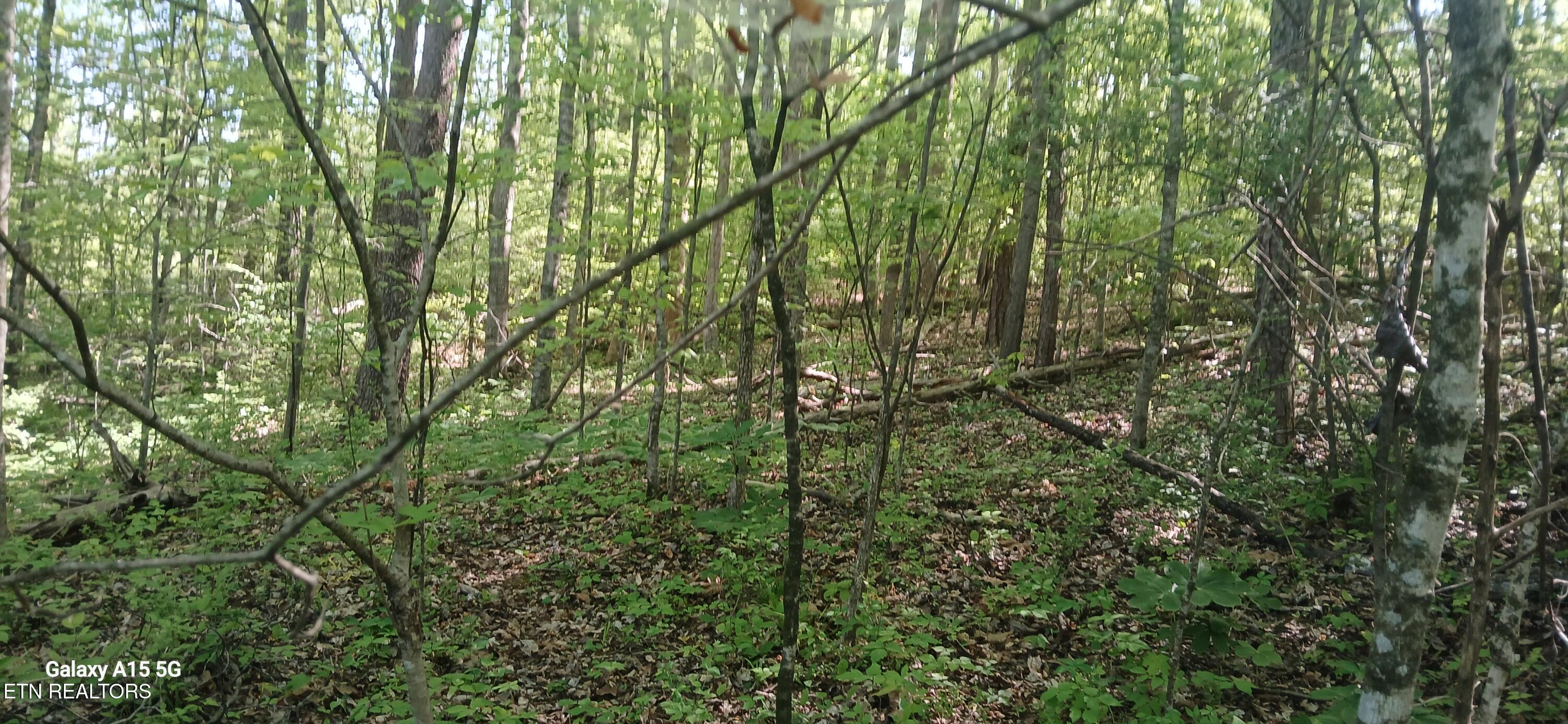 240 County Road 564 Englewood TN 37329