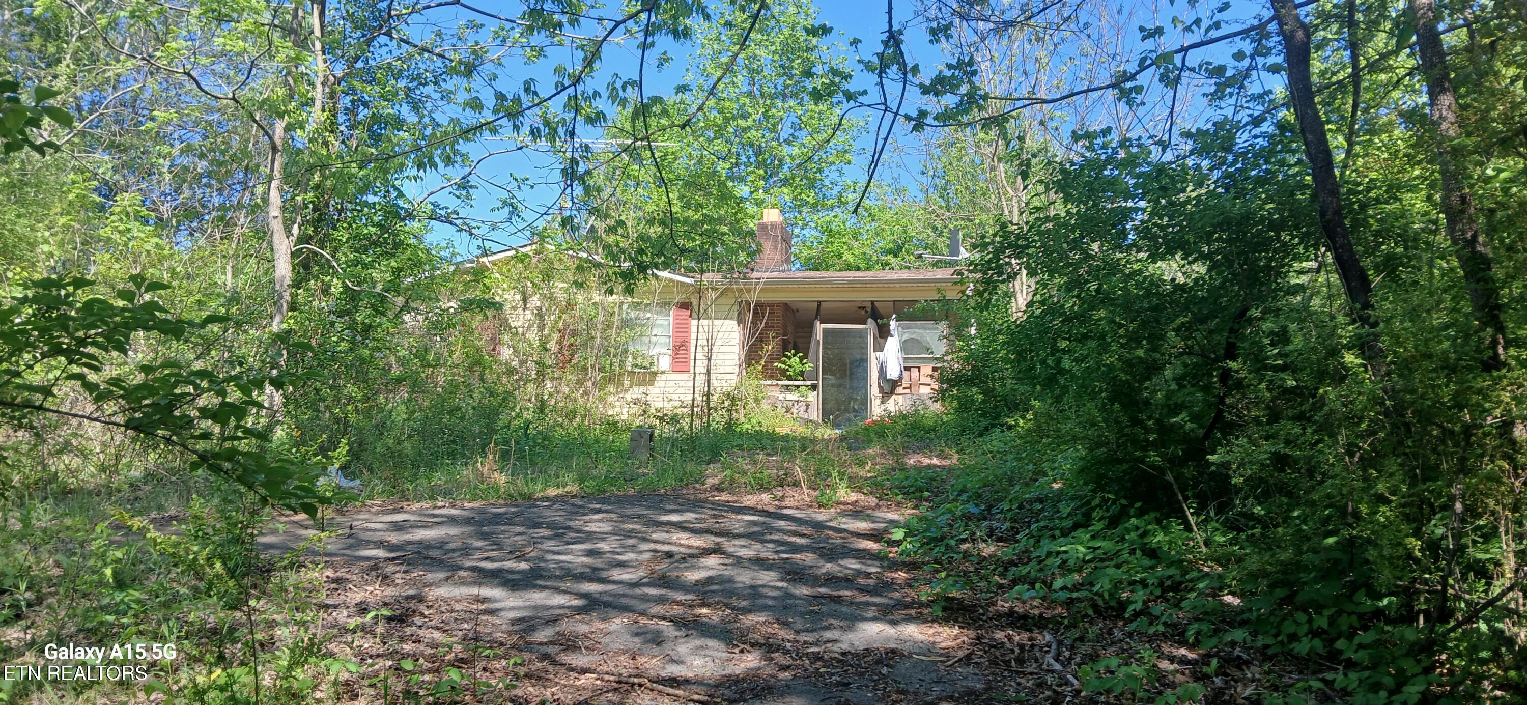240 County Road 564 Englewood TN 37329