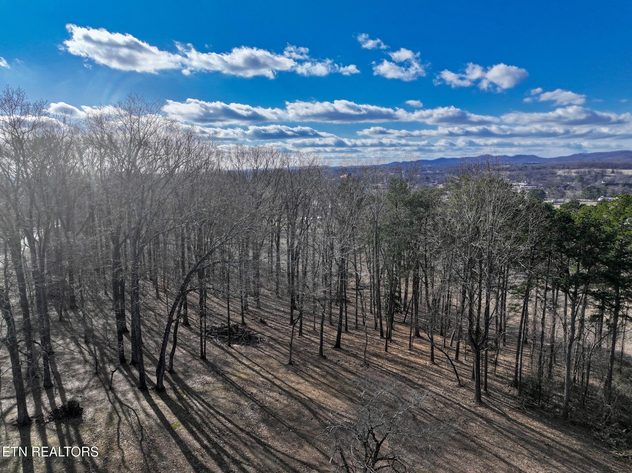 E Crestview Drive Lot 1 Madisonville TN 37354