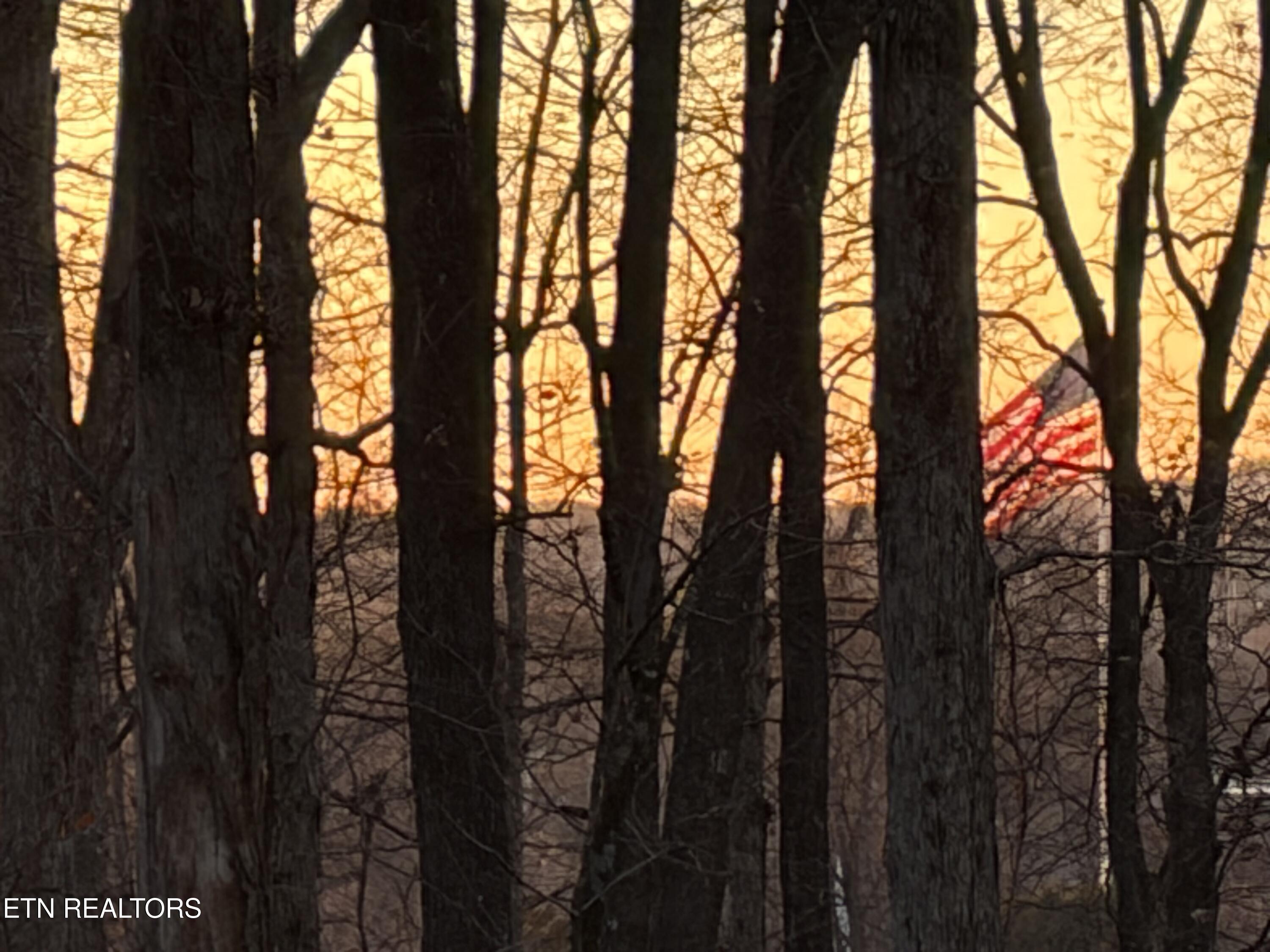 E Crestview Drive Lot 1 Madisonville TN 37354