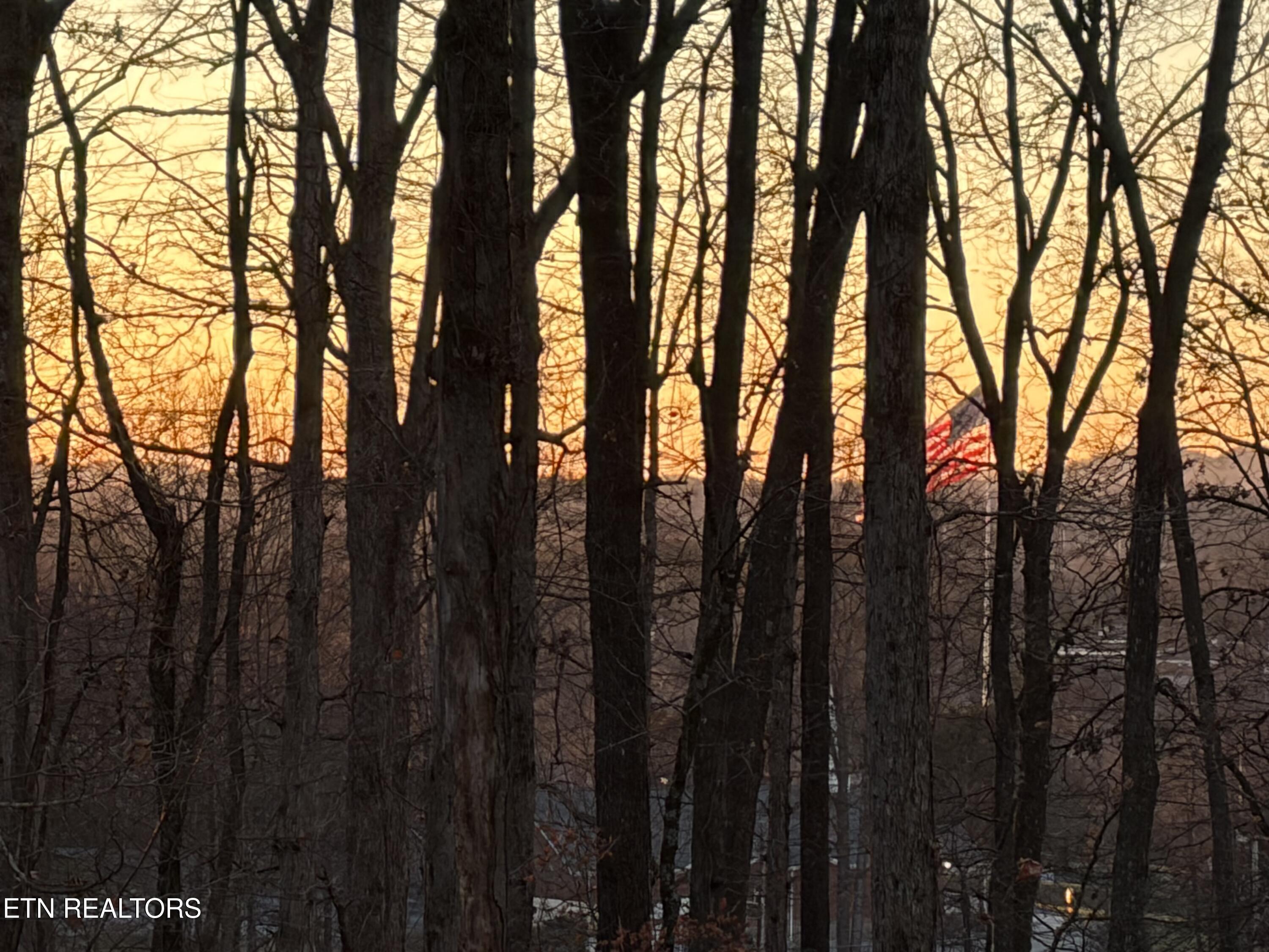 E Crestview Drive Lot 1 Madisonville TN 37354