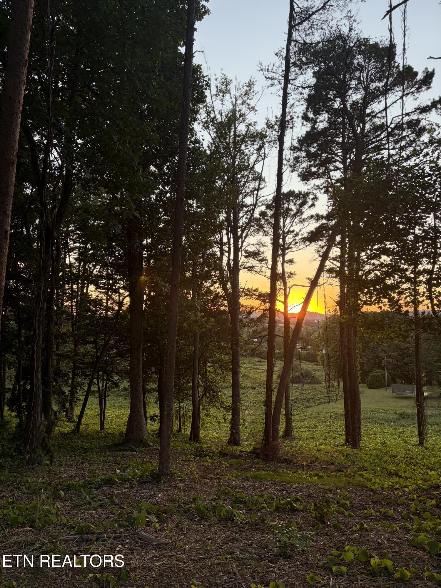 E Crestview Drive Lot 1 Madisonville TN 37354