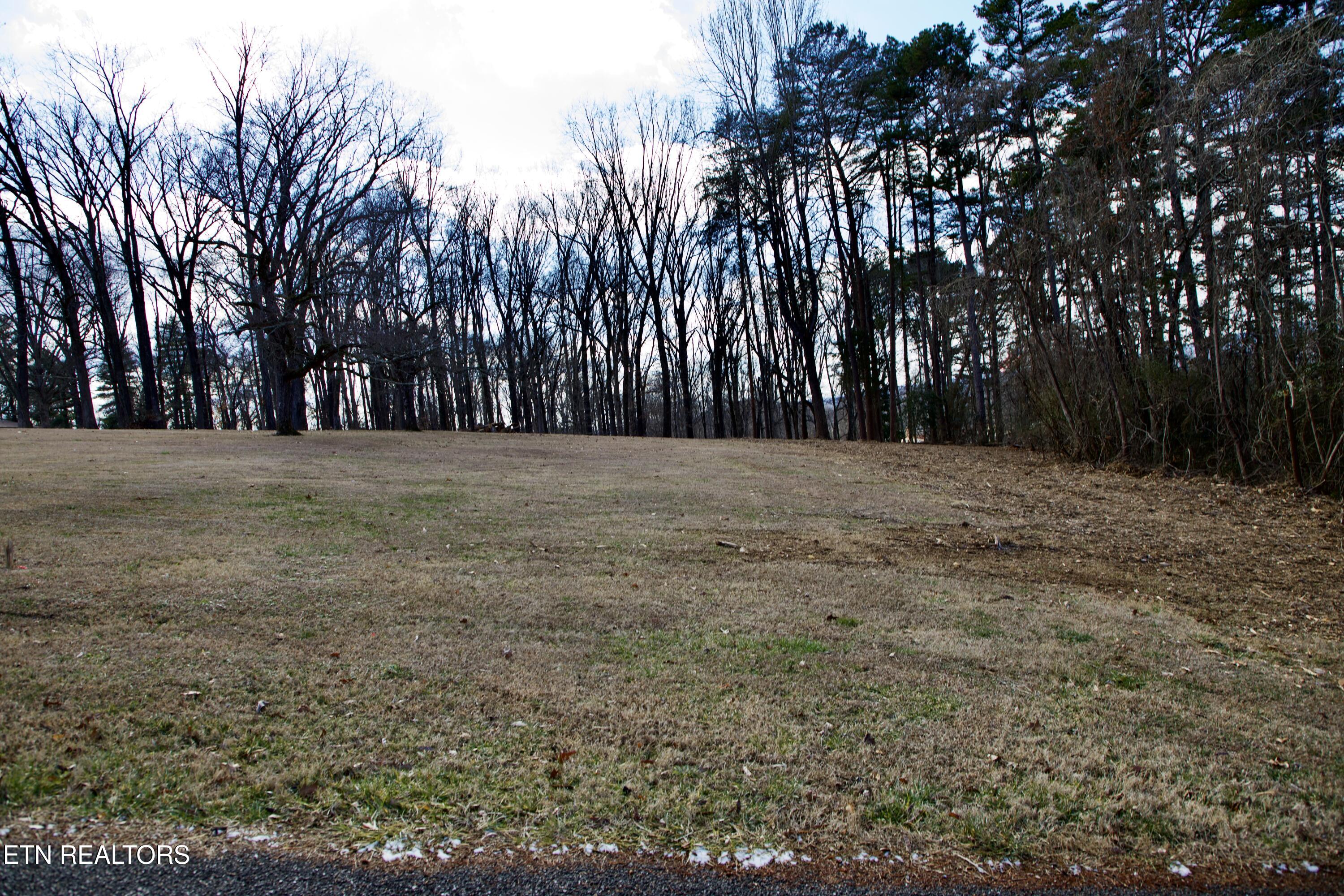 E Crestview Drive Lot 1 Madisonville TN 37354