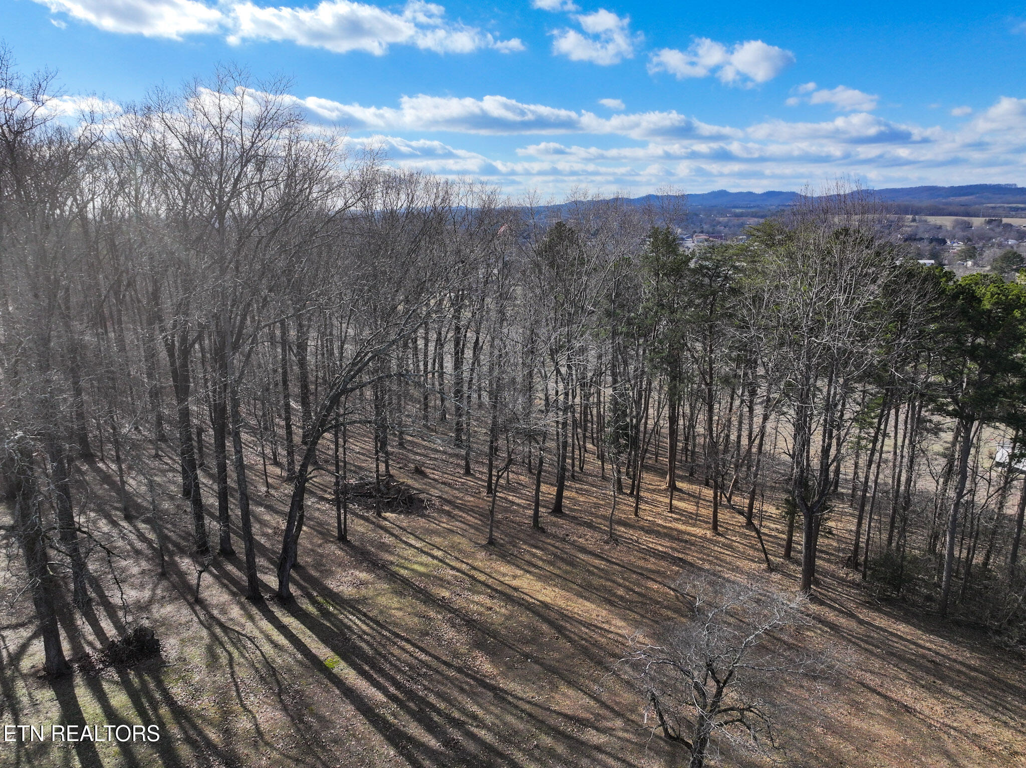 E Crestview Drive Lot 1 Madisonville TN 37354
