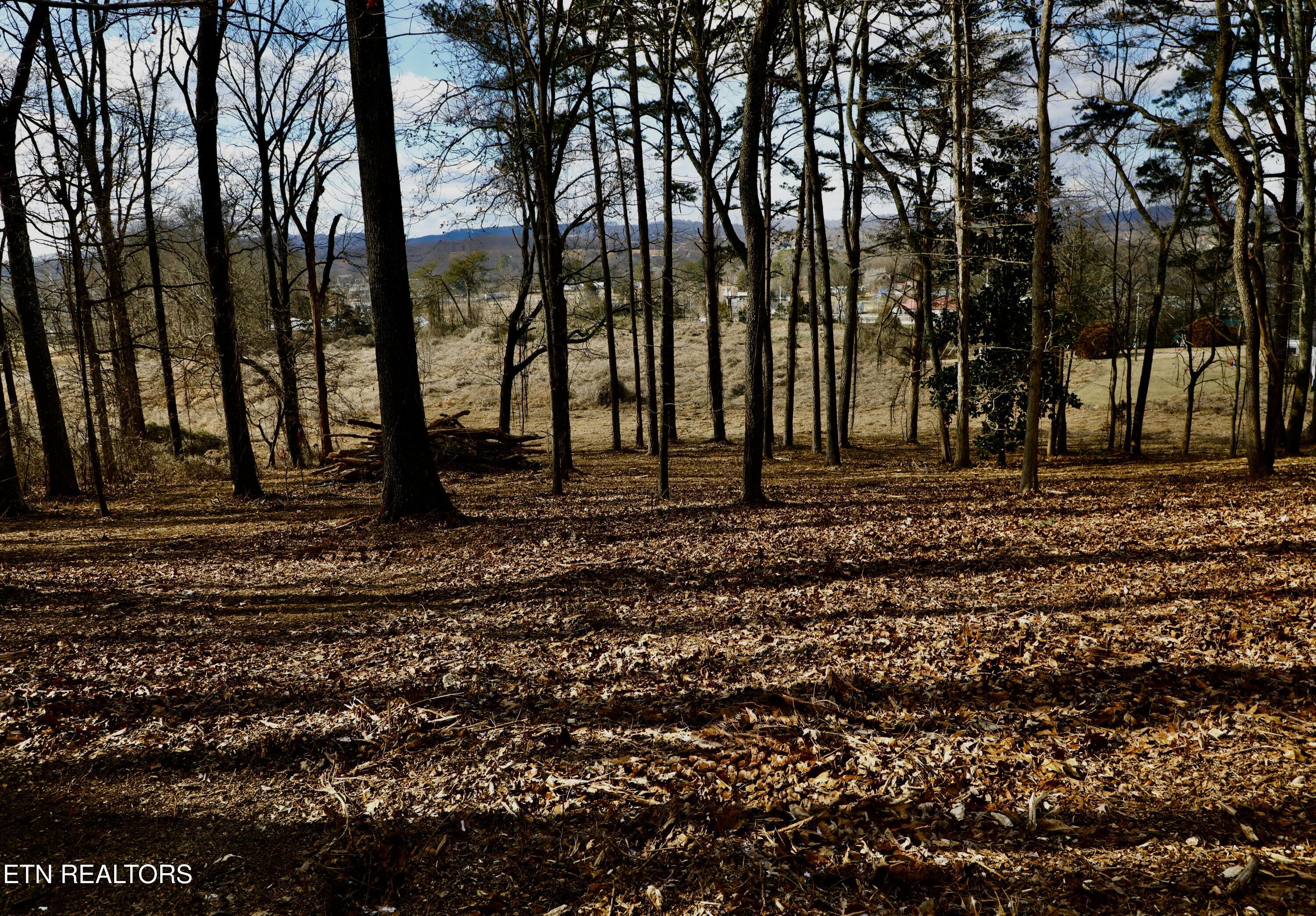 E Crestview Drive Lot 1 Madisonville TN 37354