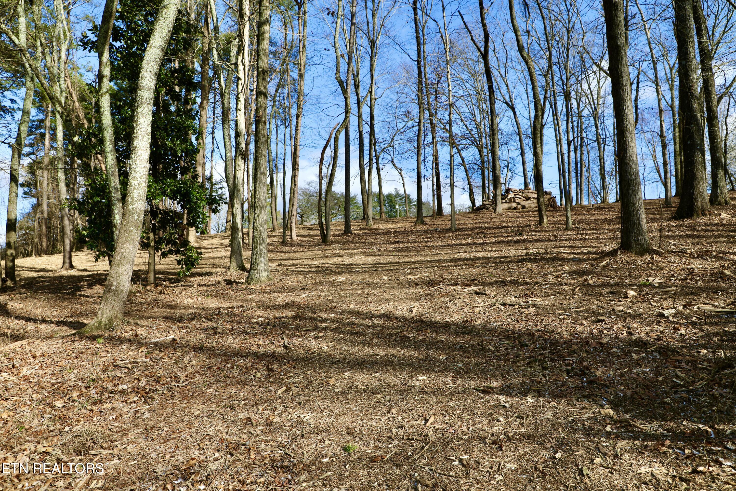 E Crestview Drive Lot 1 Madisonville TN 37354