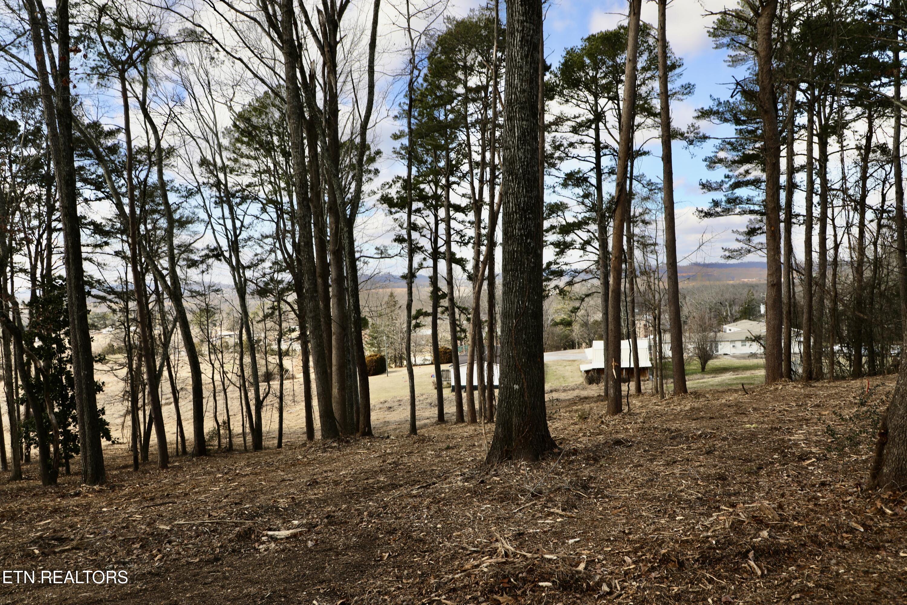 E Crestview Drive Lot 1 Madisonville TN 37354