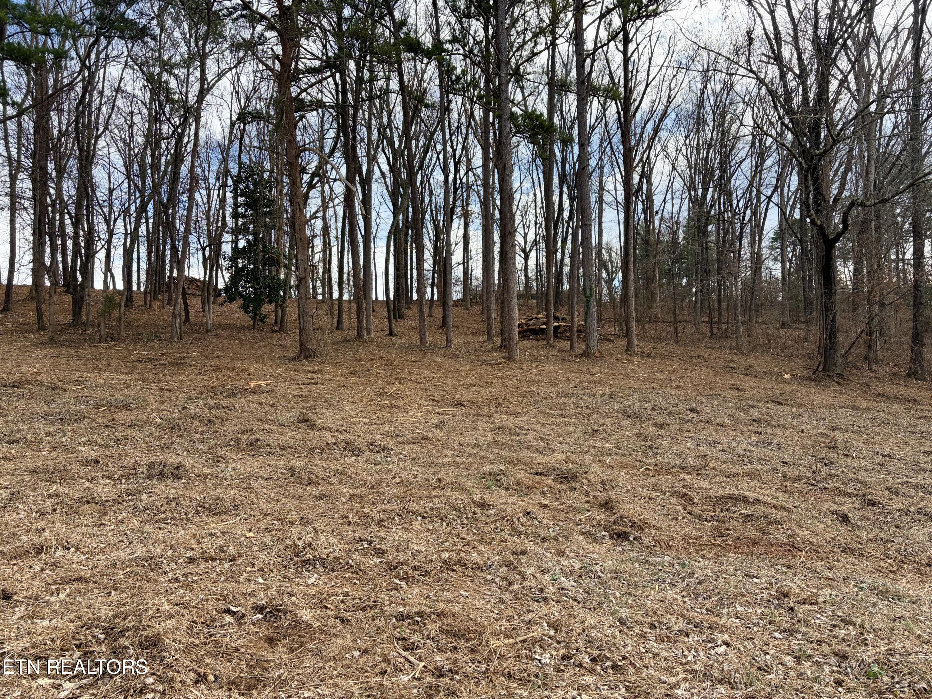 E Crestview Drive Lot 1 Madisonville TN 37354