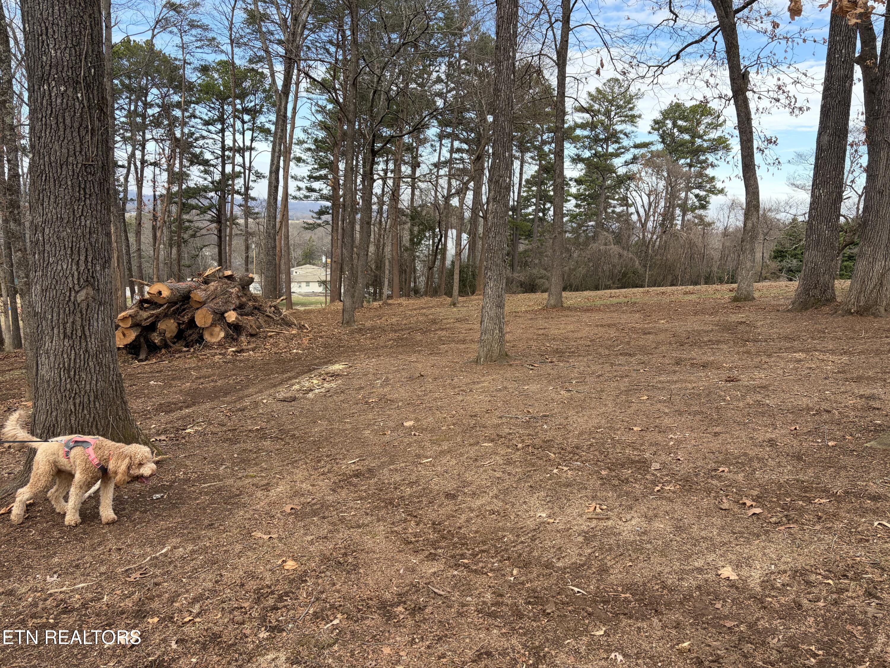 E Crestview Drive Lot 1 Madisonville TN 37354