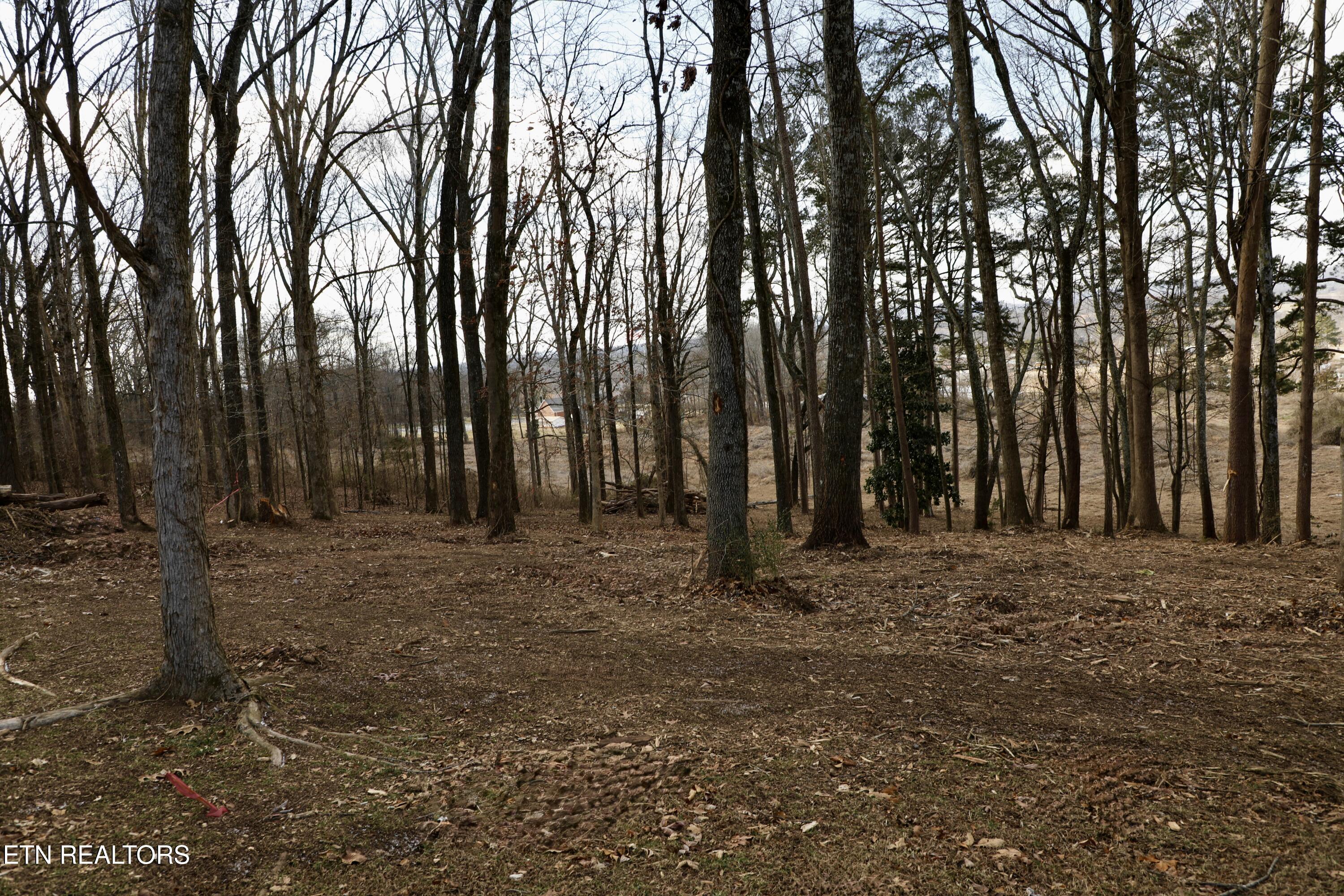 E Crestview Drive Lot 1 Madisonville TN 37354