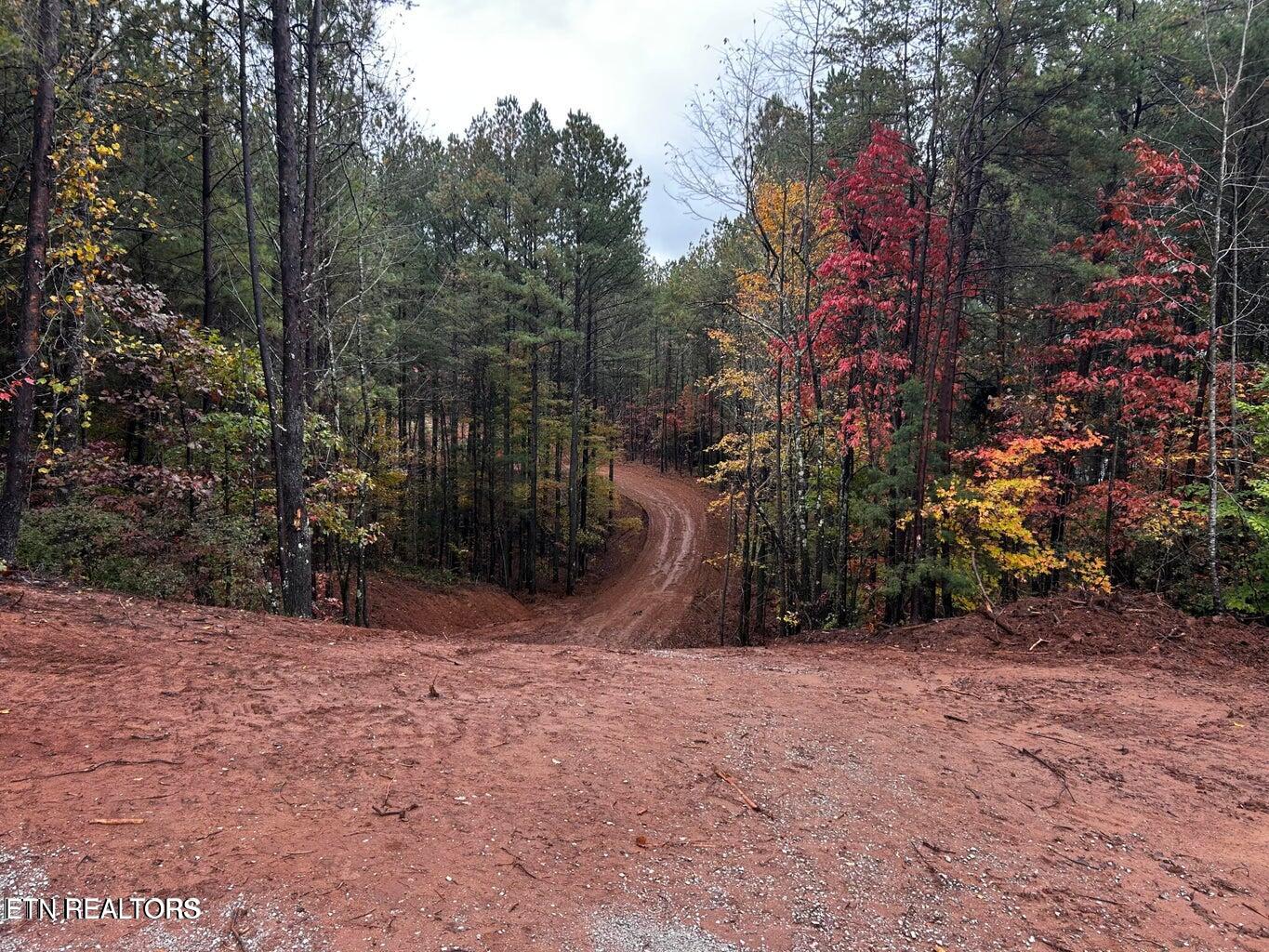 Ballplay Road Lot 30 Madisonville TN 37354