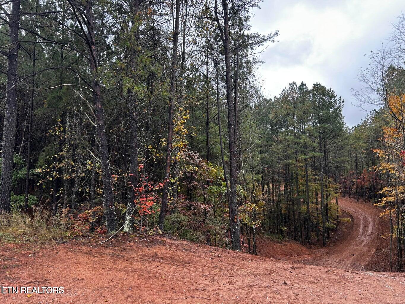 Ballplay Road Lot 30 Madisonville TN 37354