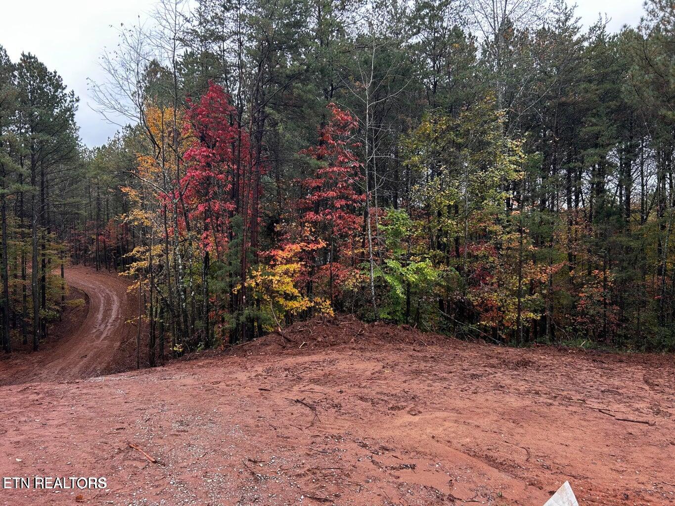 Ballplay Road Lot 30 Madisonville TN 37354