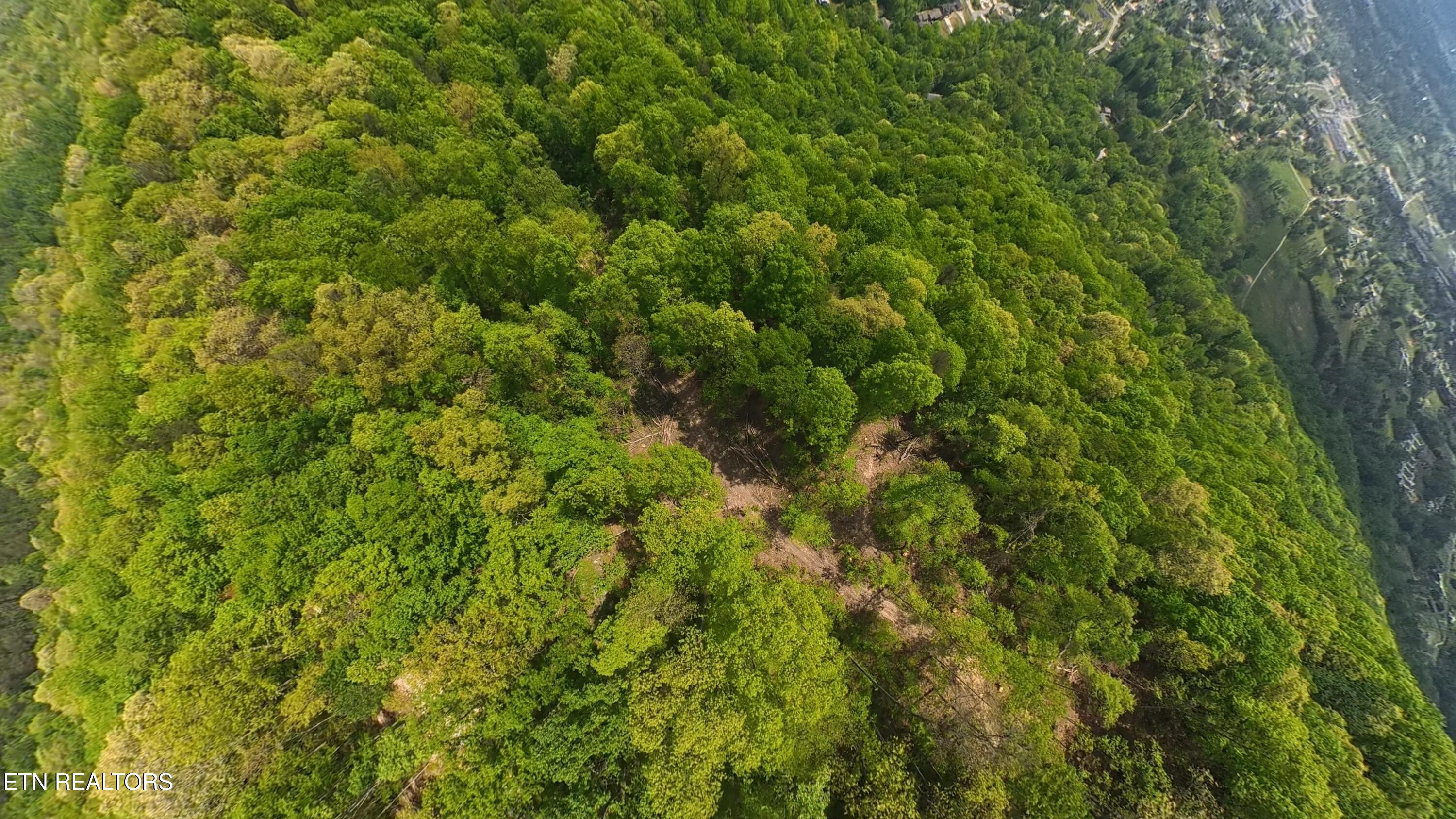 207 Eagle View Lane Jacksboro TN 37757