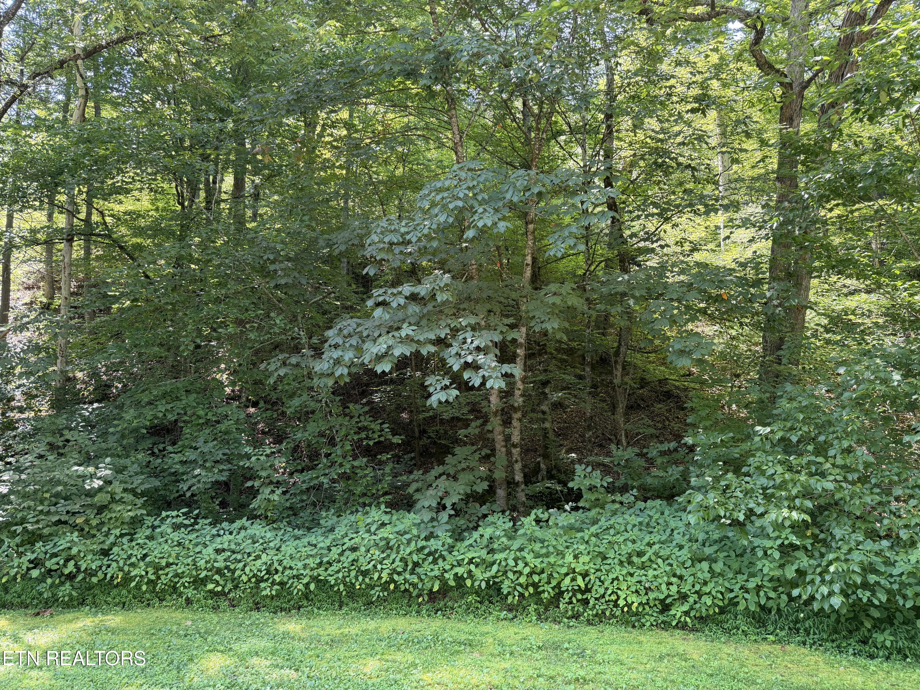 Lot 14 Smoky Mountain Way Sevierville TN 37876