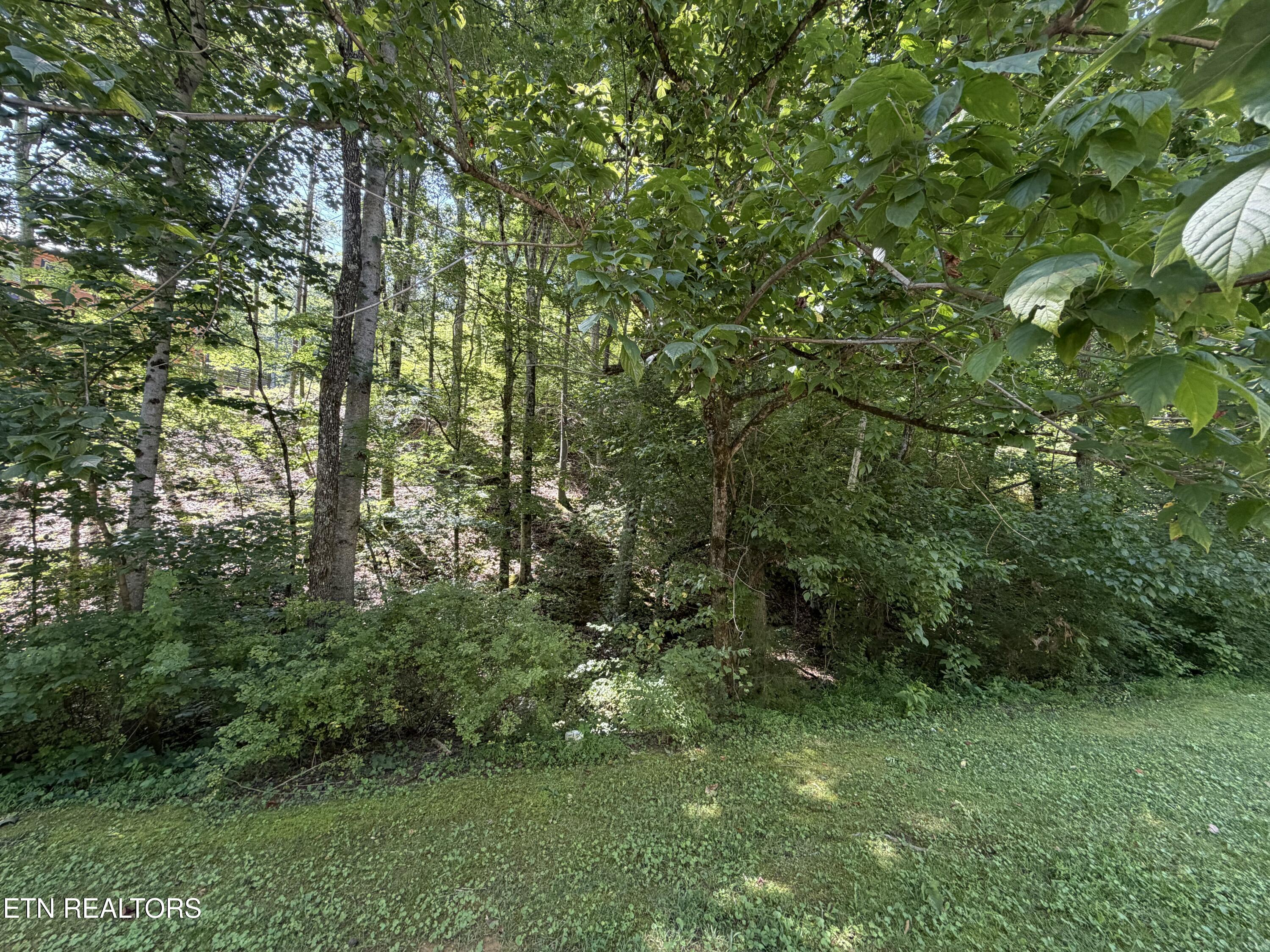 Lot 14 Smoky Mountain Way Sevierville TN 37876