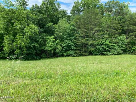 Lot 257 Marble Point Way New Tazewell TN 37825