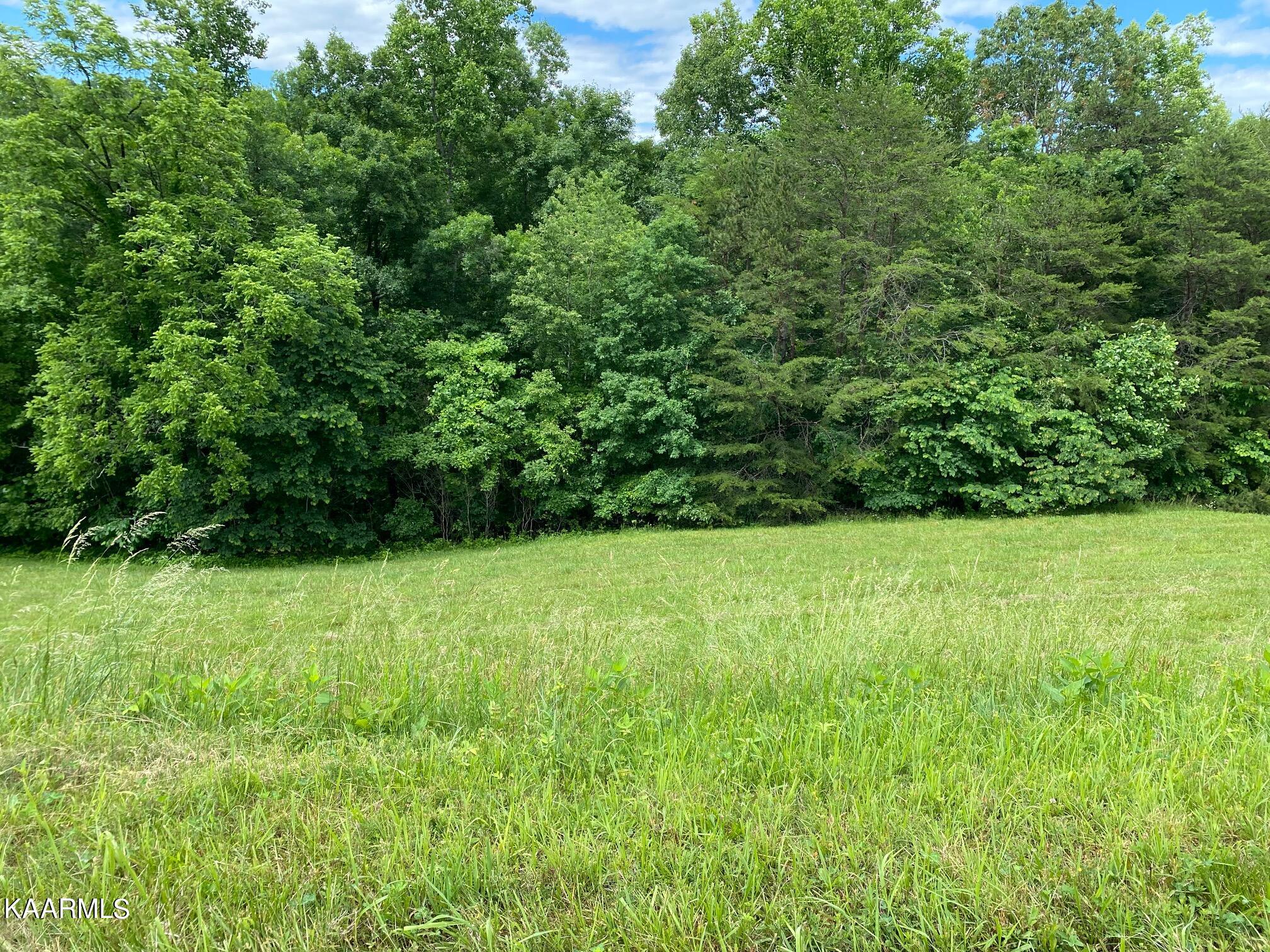 Lot 257 Marble Point Way New Tazewell TN 37825