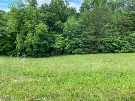 Lot 257 Marble Point Way New Tazewell TN 37825