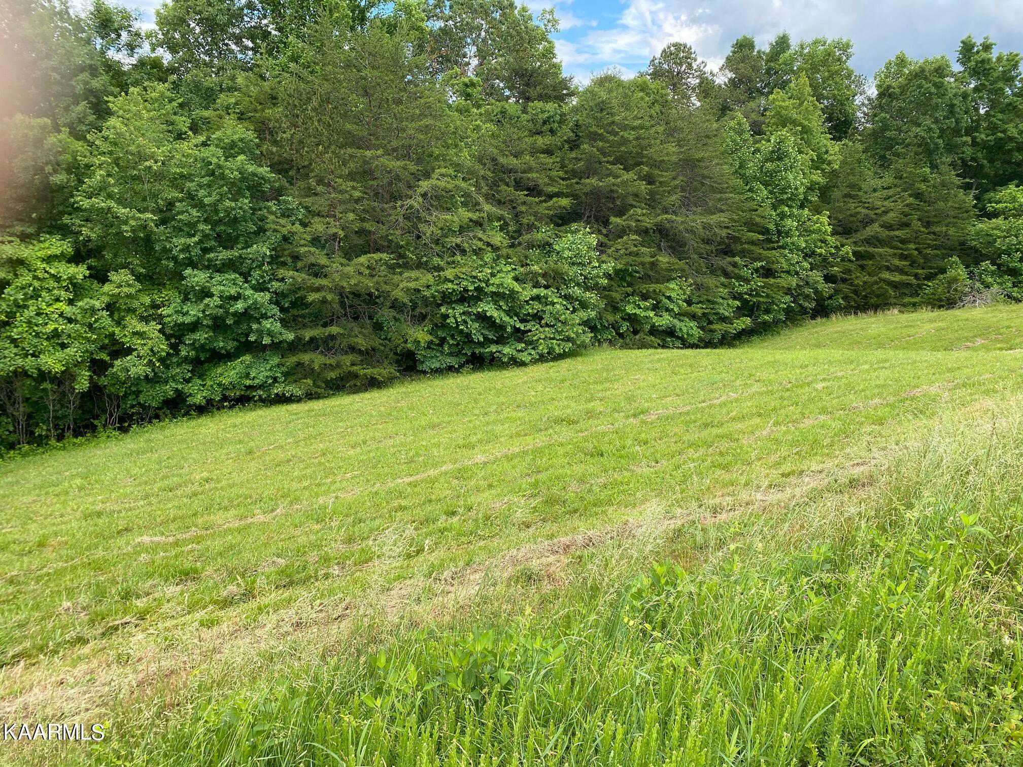 Lot 257 Marble Point Way New Tazewell TN 37825