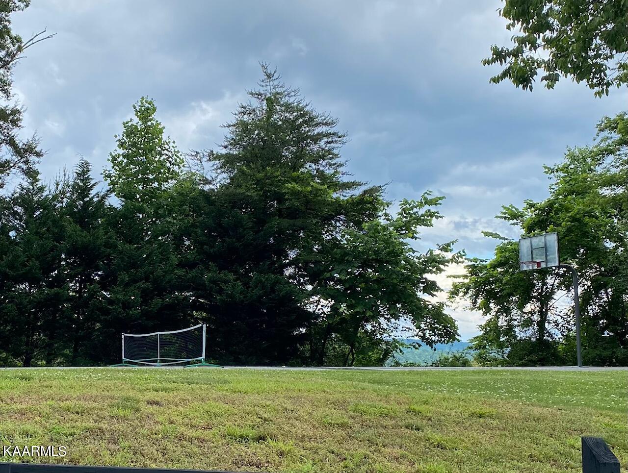 Lot 257 Marble Point Way New Tazewell TN 37825
