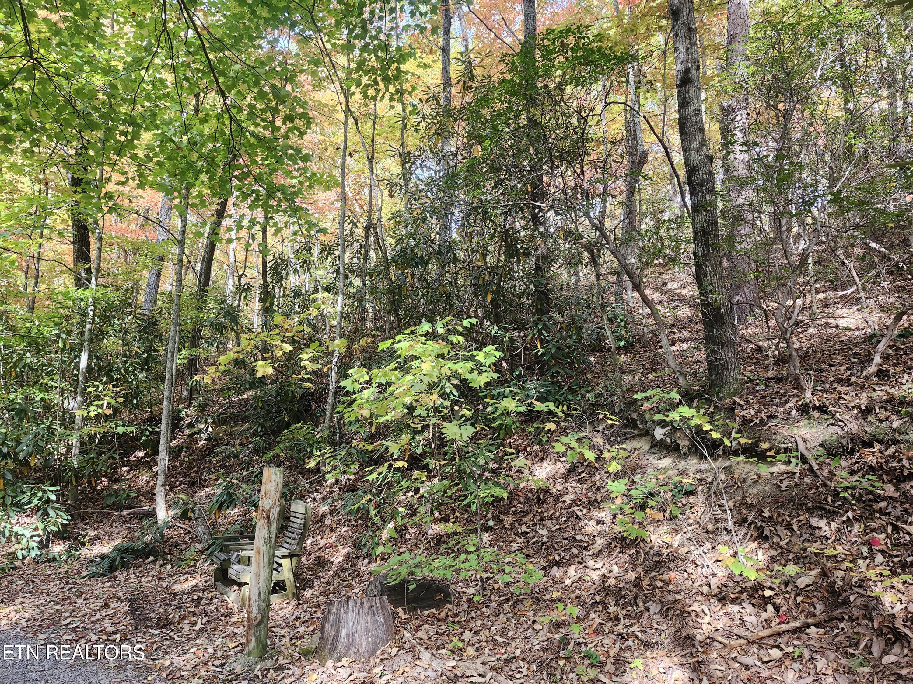 Lot 11 Bluff Mountain Road Sevierville TN 37876