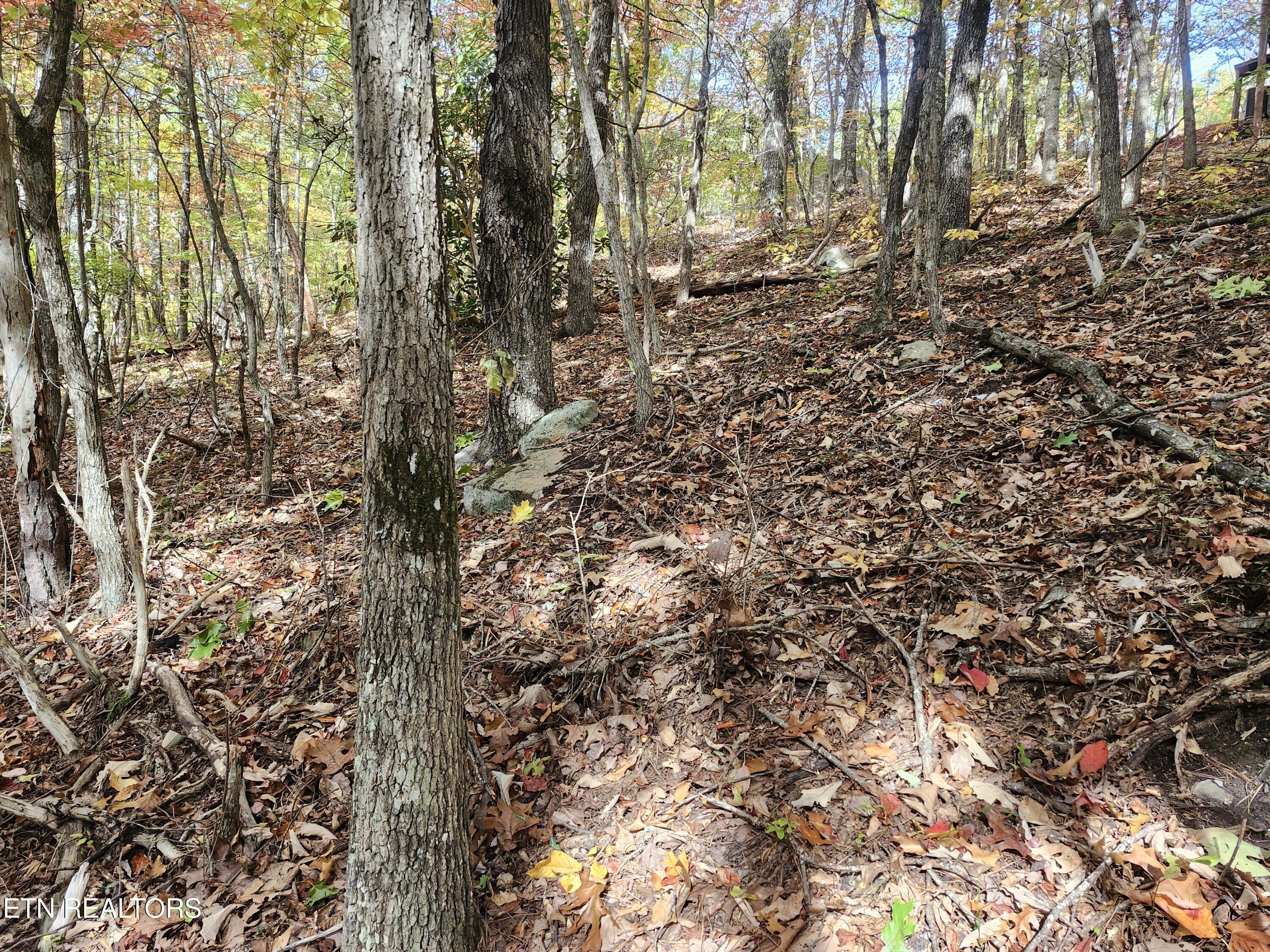 Lot 11 Bluff Mountain Road Sevierville TN 37876