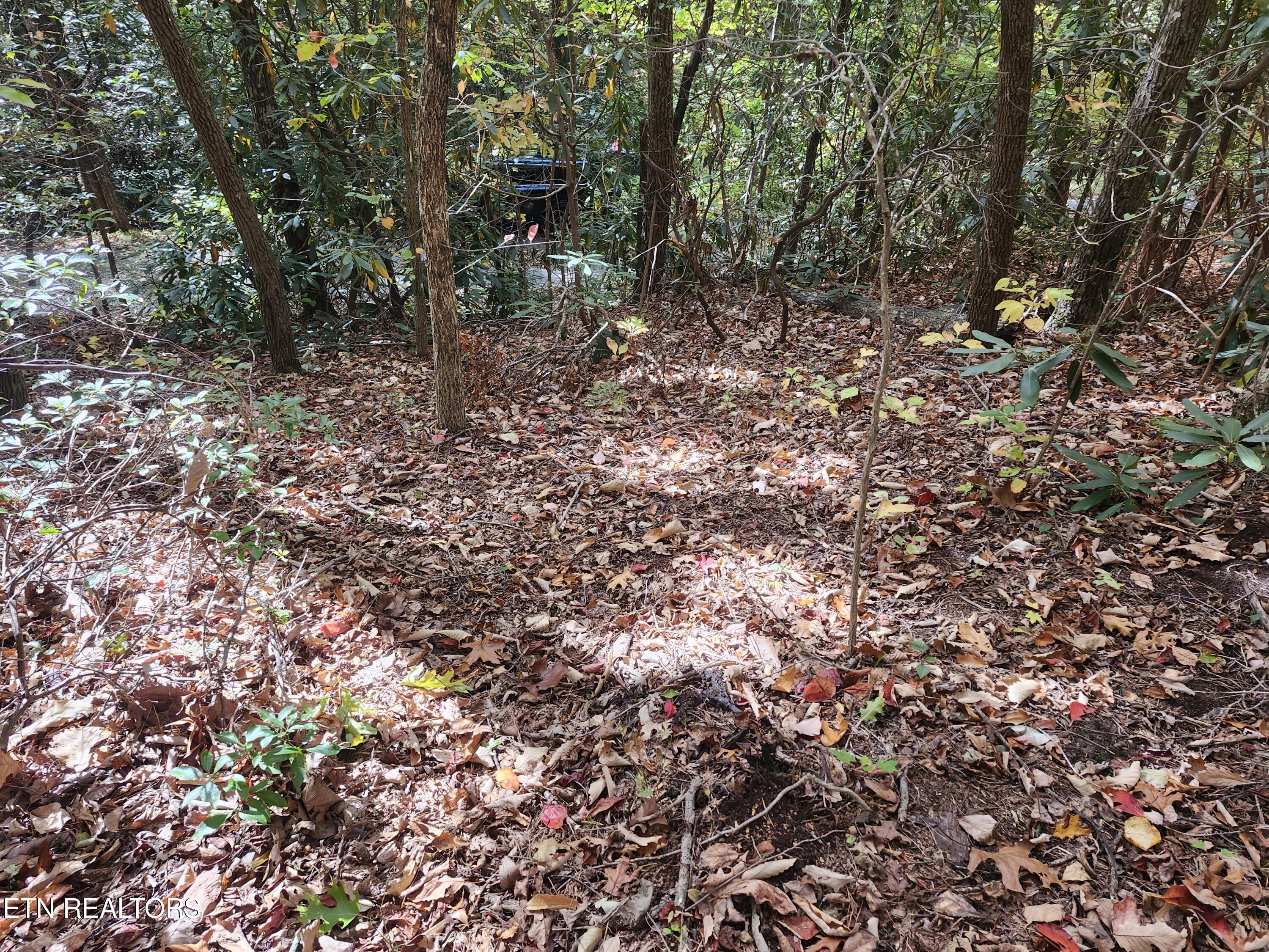 Lot 11 Bluff Mountain Road Sevierville TN 37876